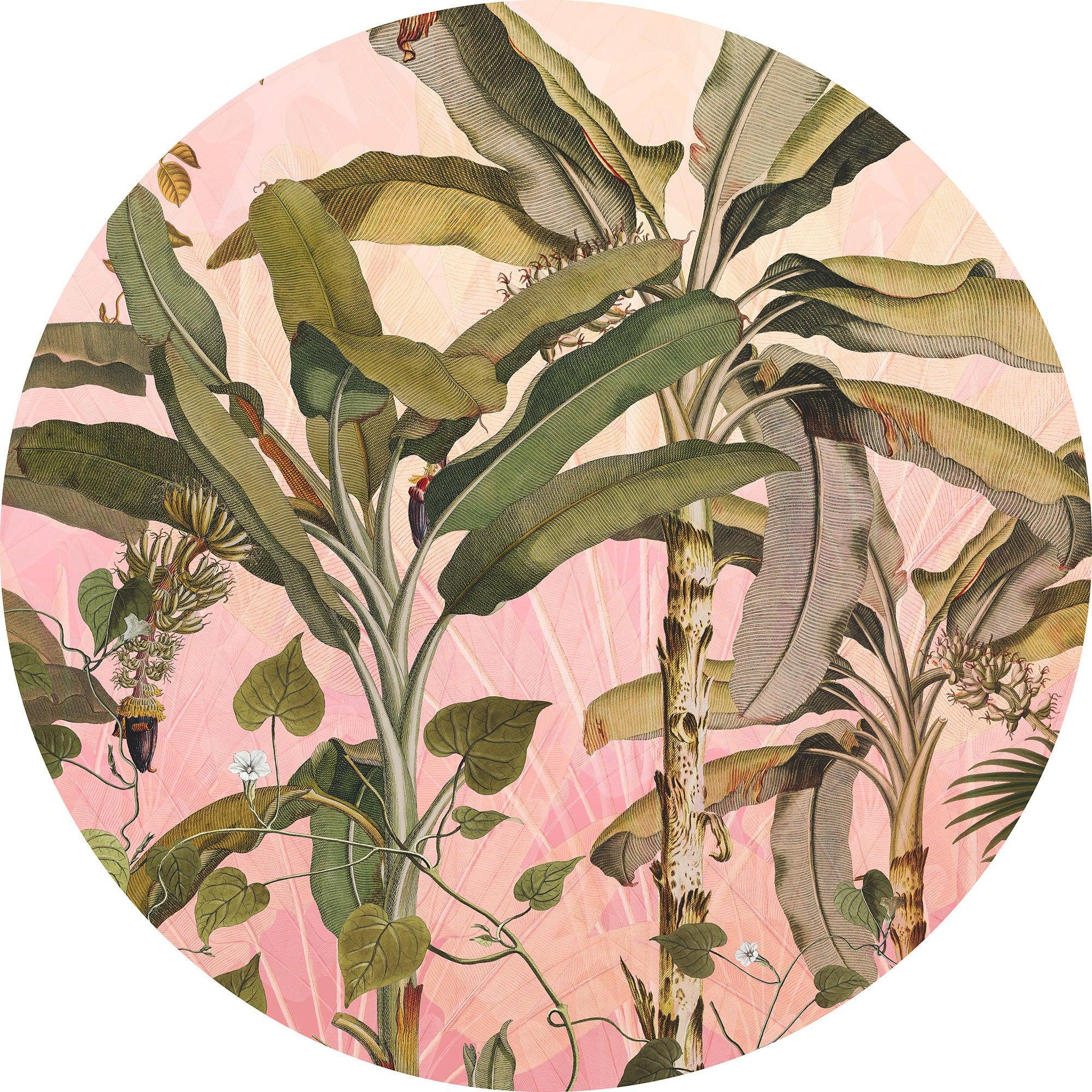 Musa Paradis Circle Wallpaper (Self-Adhesive) - Image 3