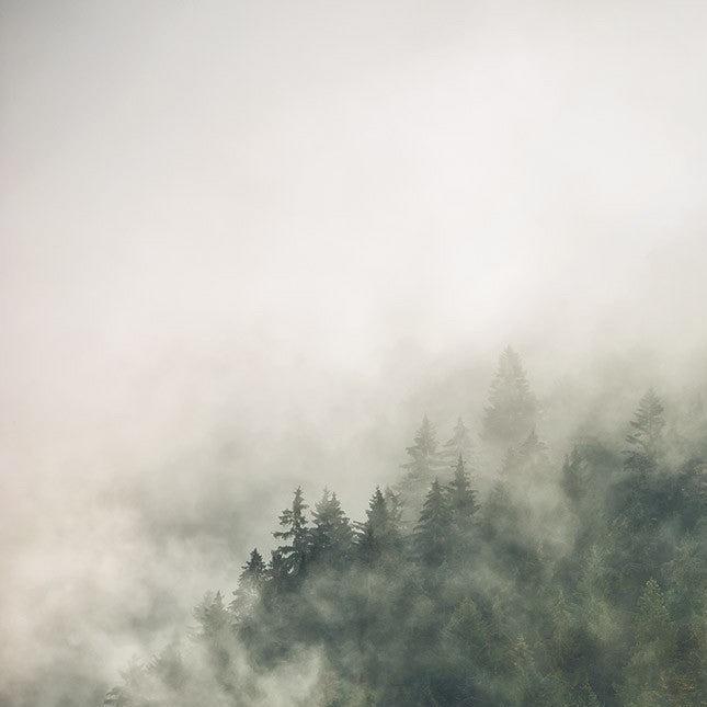 Natural Guardian Mural Wallpaper - Image 8
