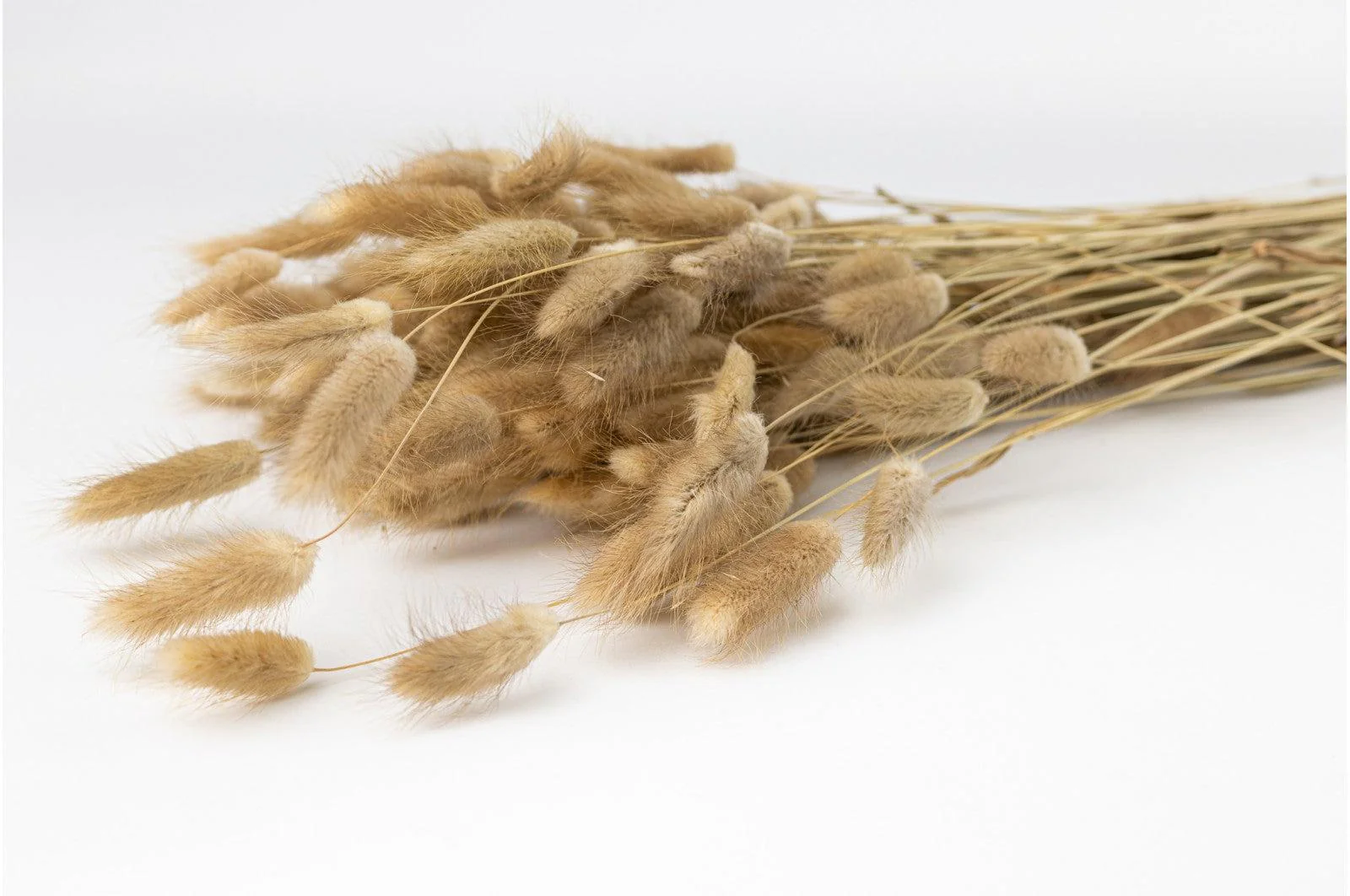 Italian Natural Lagurus Bouquet - Image 2