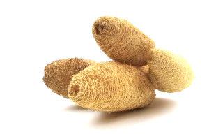 Italian Natural Luffa Bouquet - Image 3