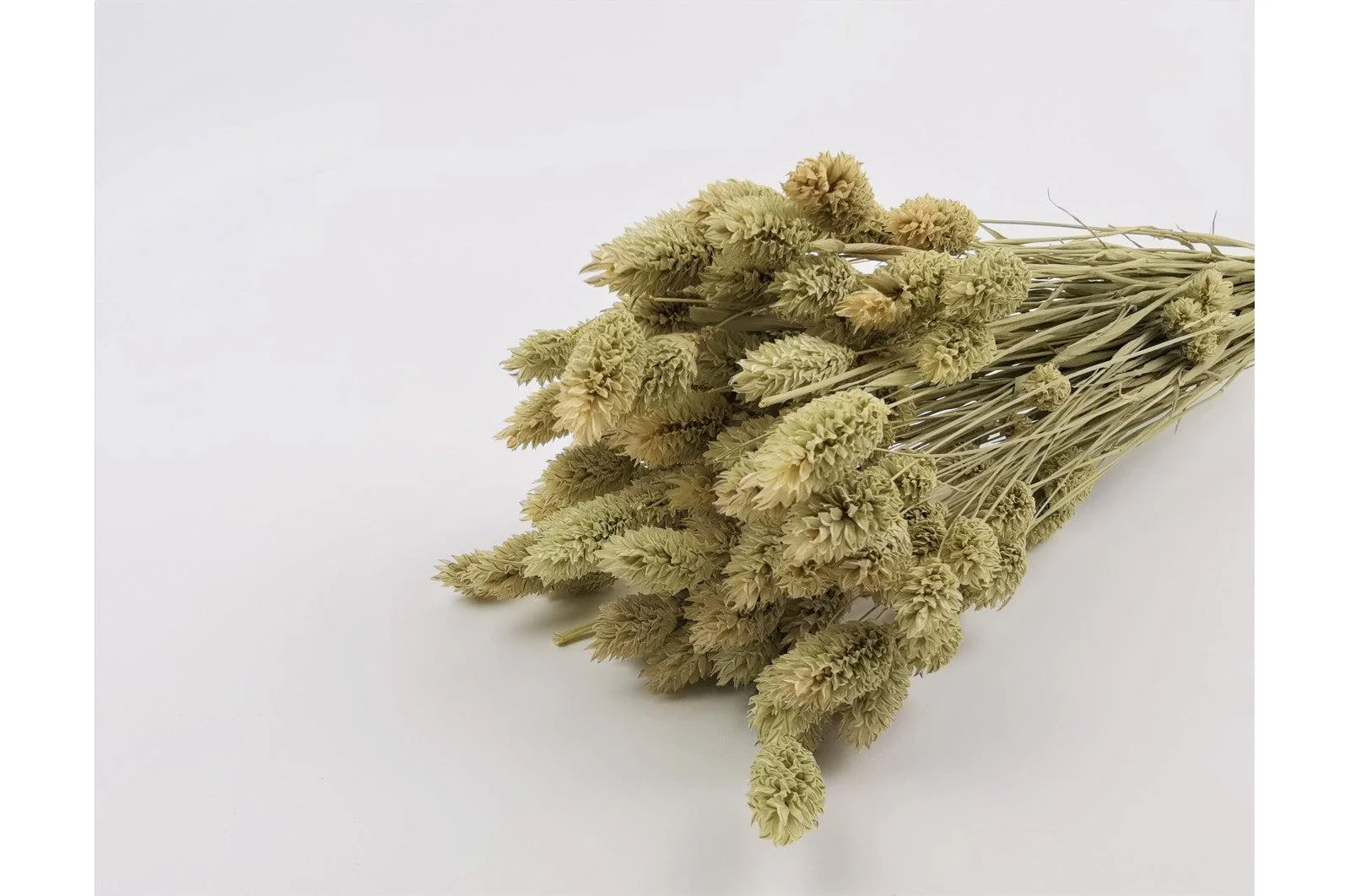 Italian Natural Phalaris Bouquet - Image 3
