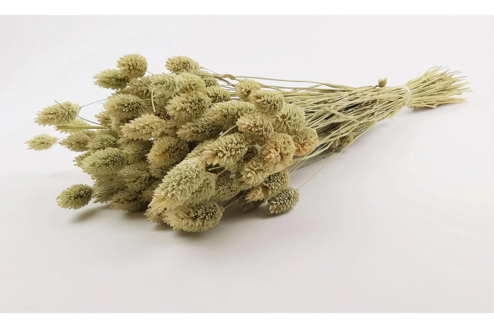Italian Natural Phalaris Bouquet - Image 4