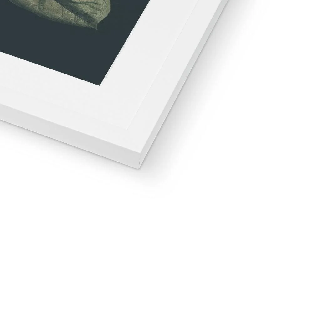 Nature Romance Framed & Mounted Print - Image 5