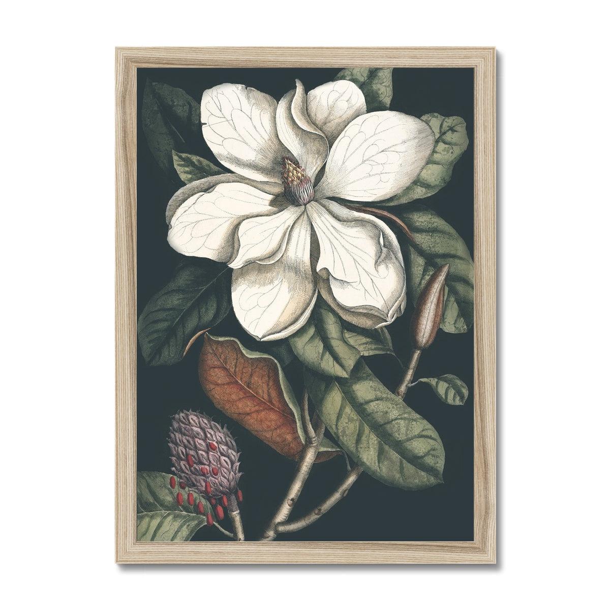 Nature Romance Framed Print