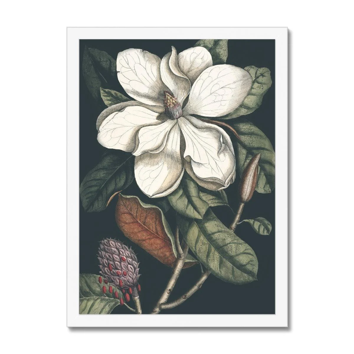 Nature Romance Framed Print - Image 3