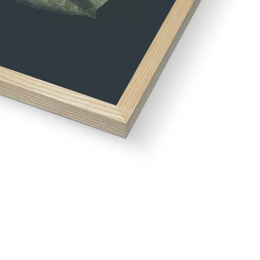 Nature Romance Framed Print - Image 6