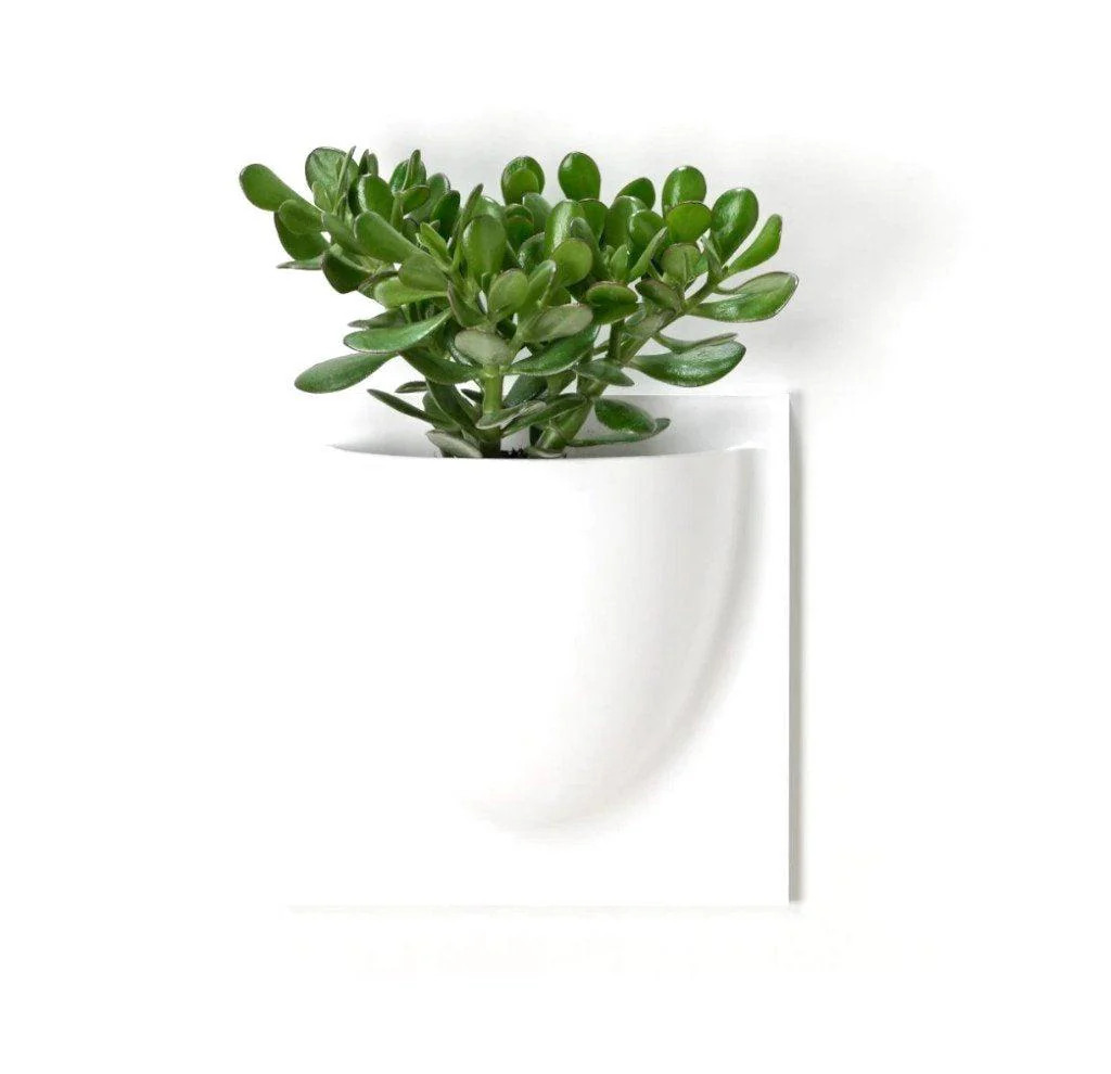 Olive Green VertiPlant Bio Wall Container - Image 4