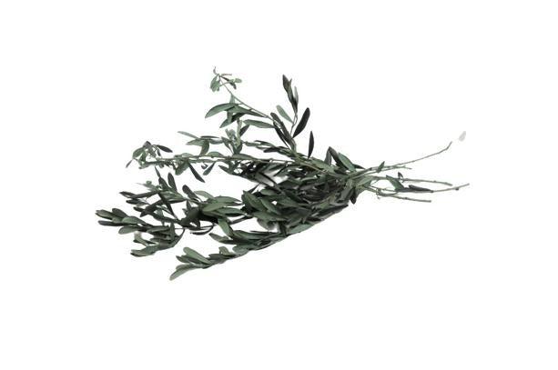 French Olive Leaf Bouquet
