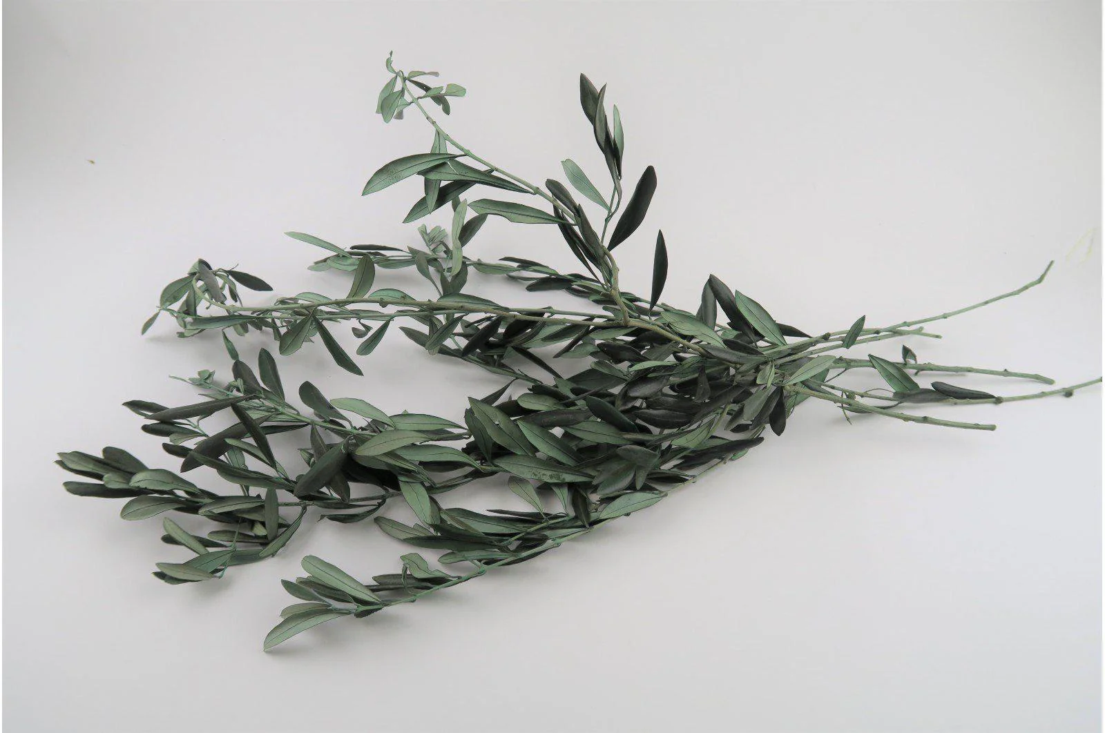 French Olive Leaf Bouquet - Image 2