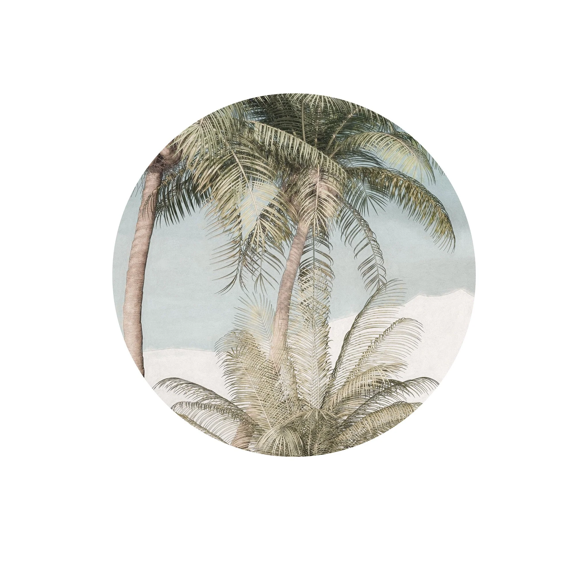 Palm Tree Circle Wallpaper (Self-Adhesive) - Image 2