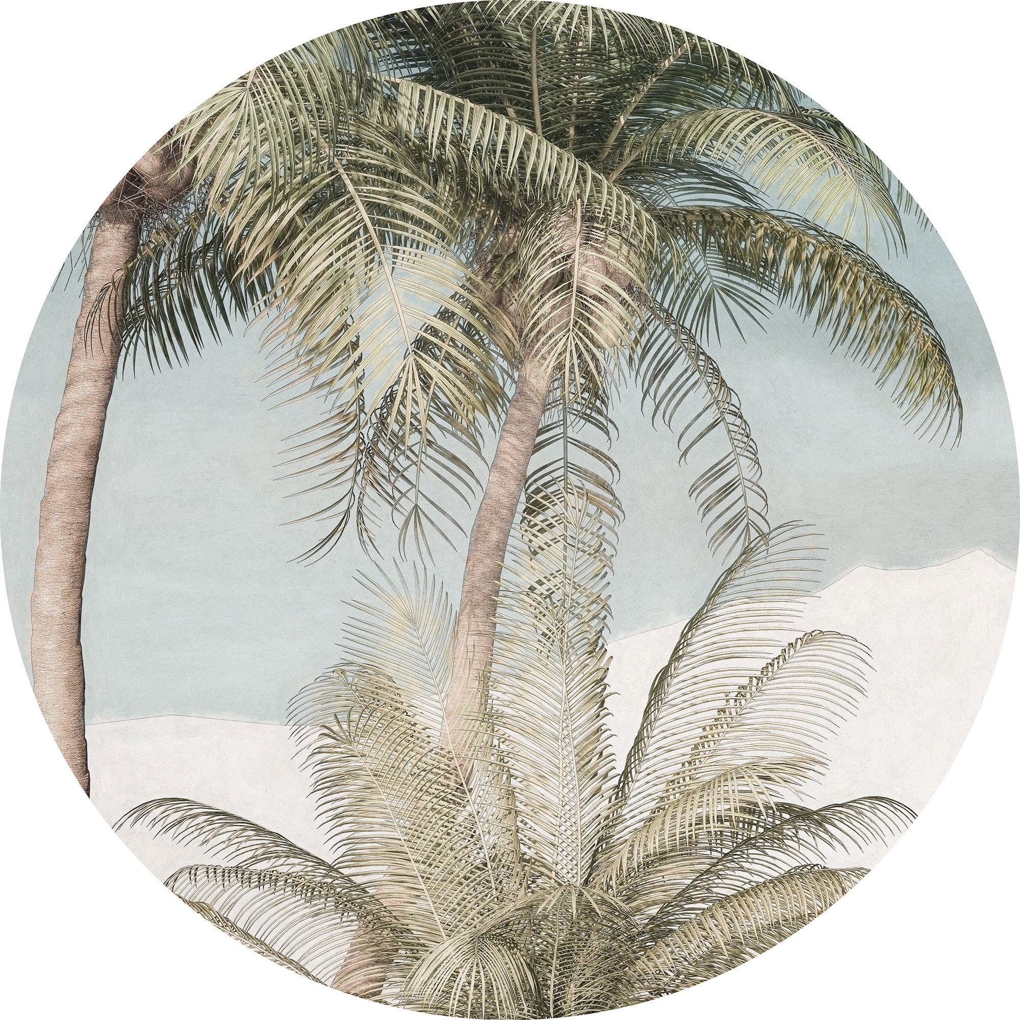 Palm Tree Circle Wallpaper (Self-Adhesive) - Image 3