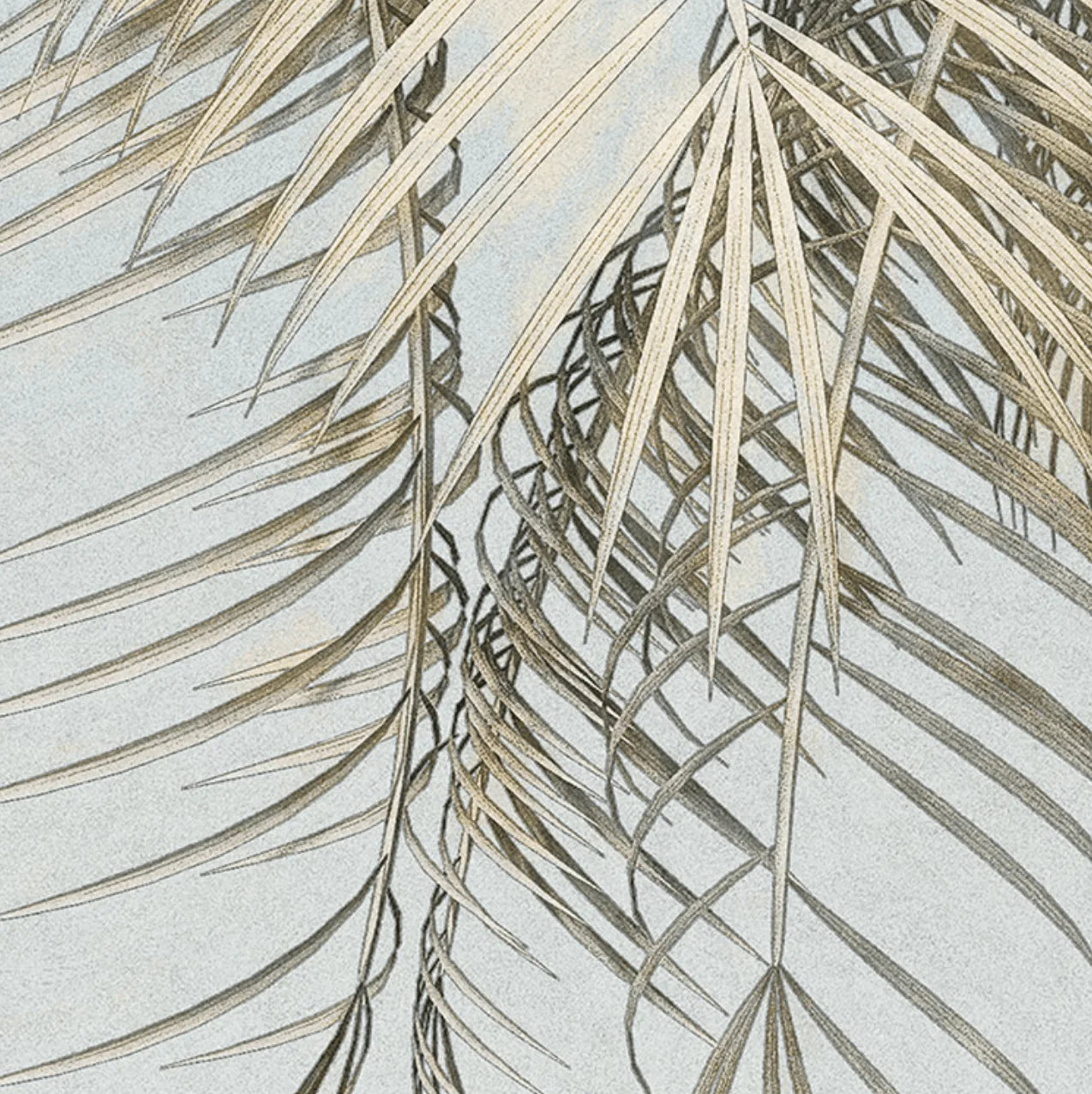 Palm Tree Circle Wallpaper (Self-Adhesive) - Image 5