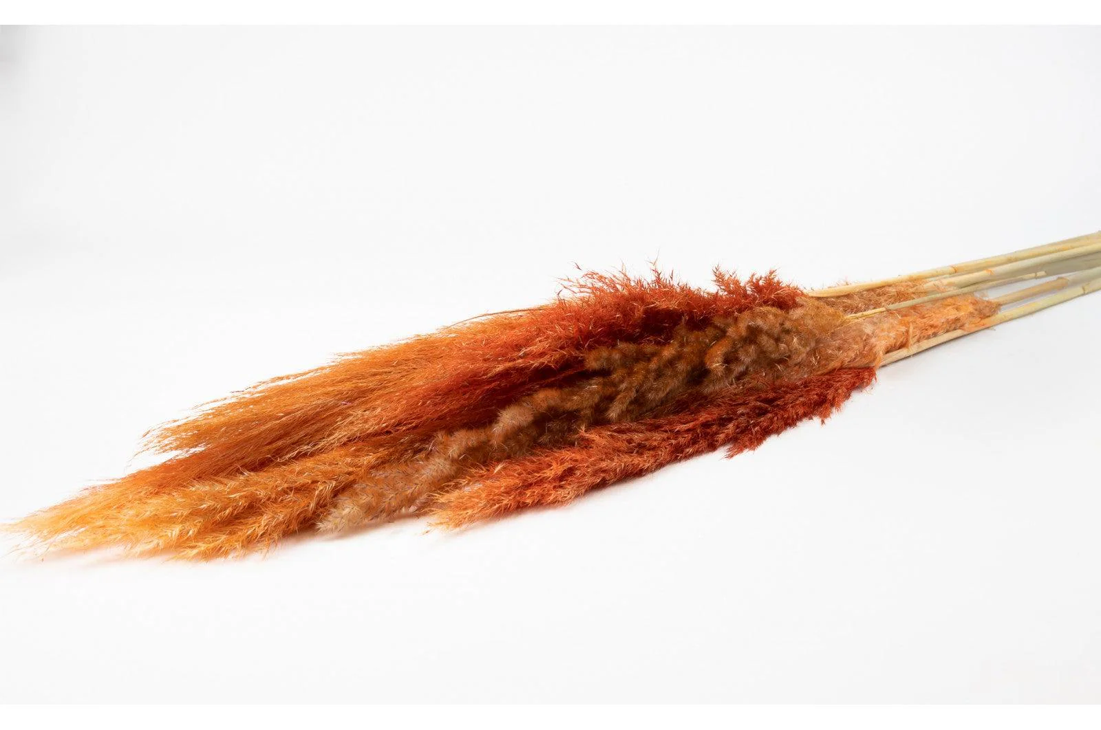 French Orange Pampas Bouquet - Image 4