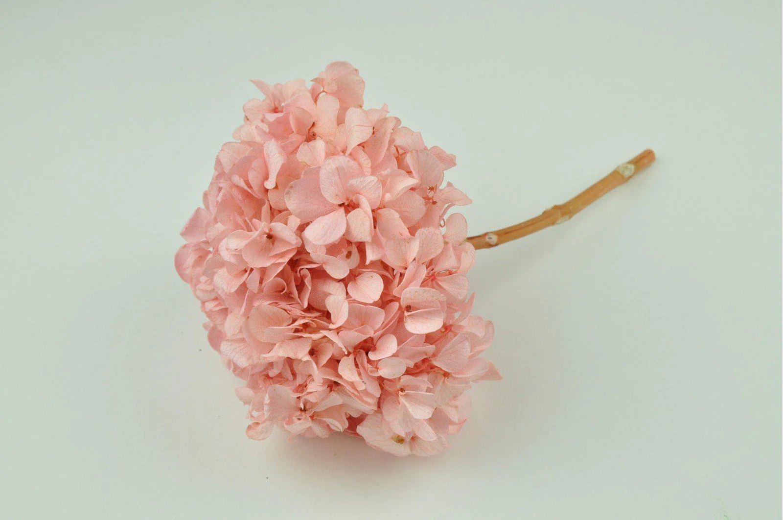 Pink Hydrangea Bouquets - Image 2