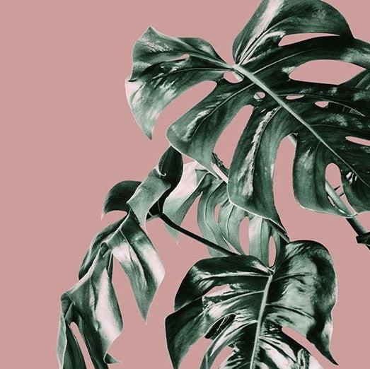 Pink Monstera Mural Wallpaper - Image 8