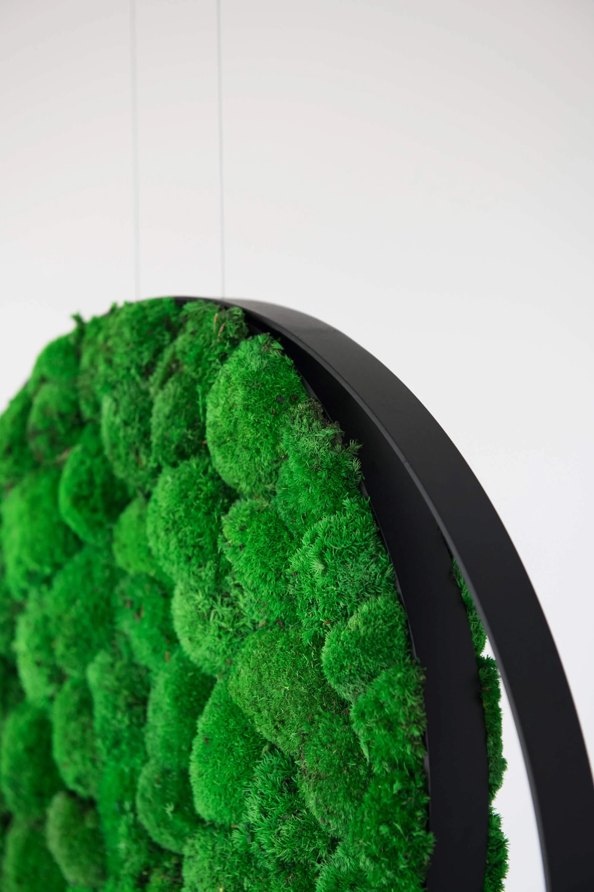 Hanging Plant and Moss Rings - Image 10