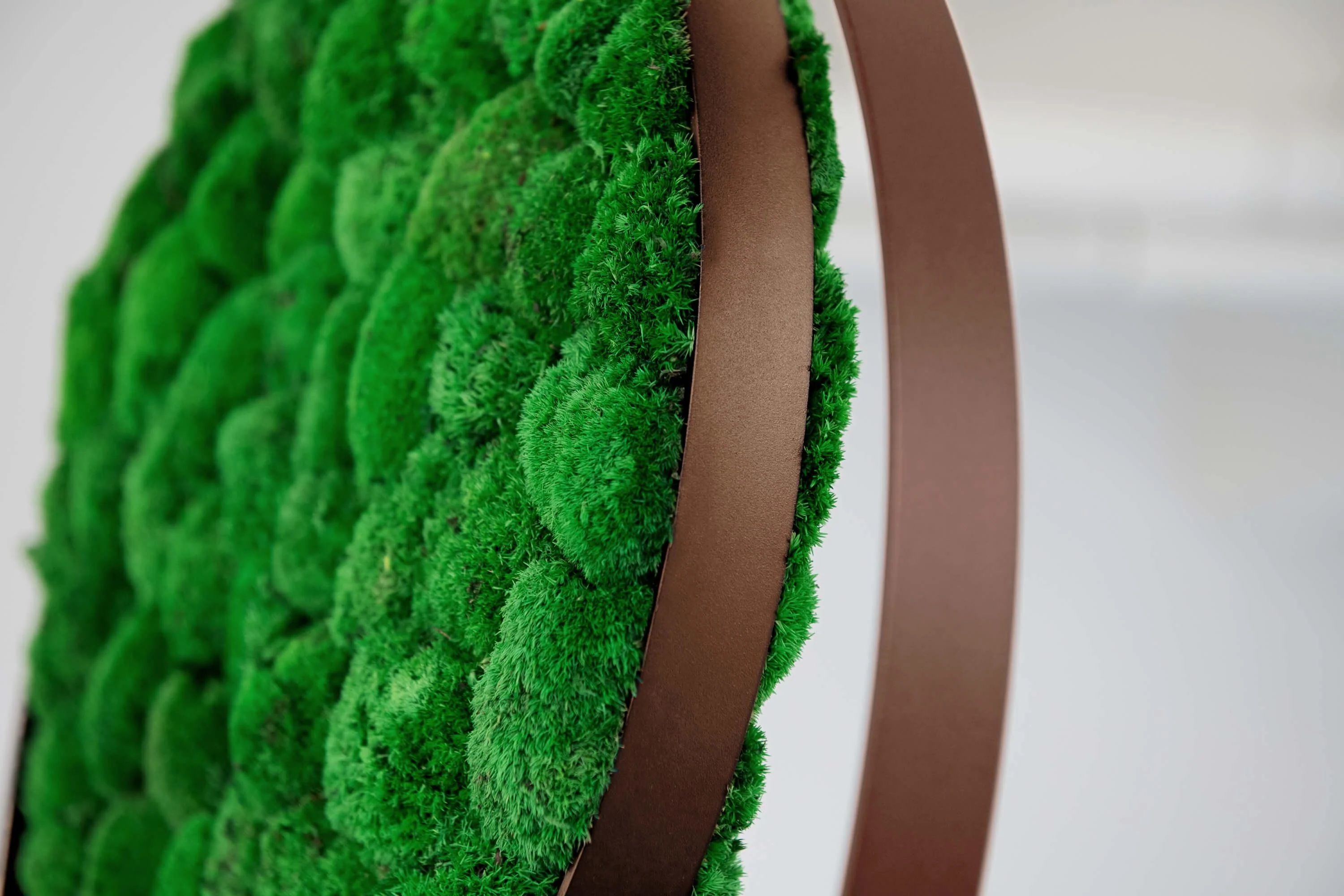 Hanging Plant and Moss Rings - Image 11