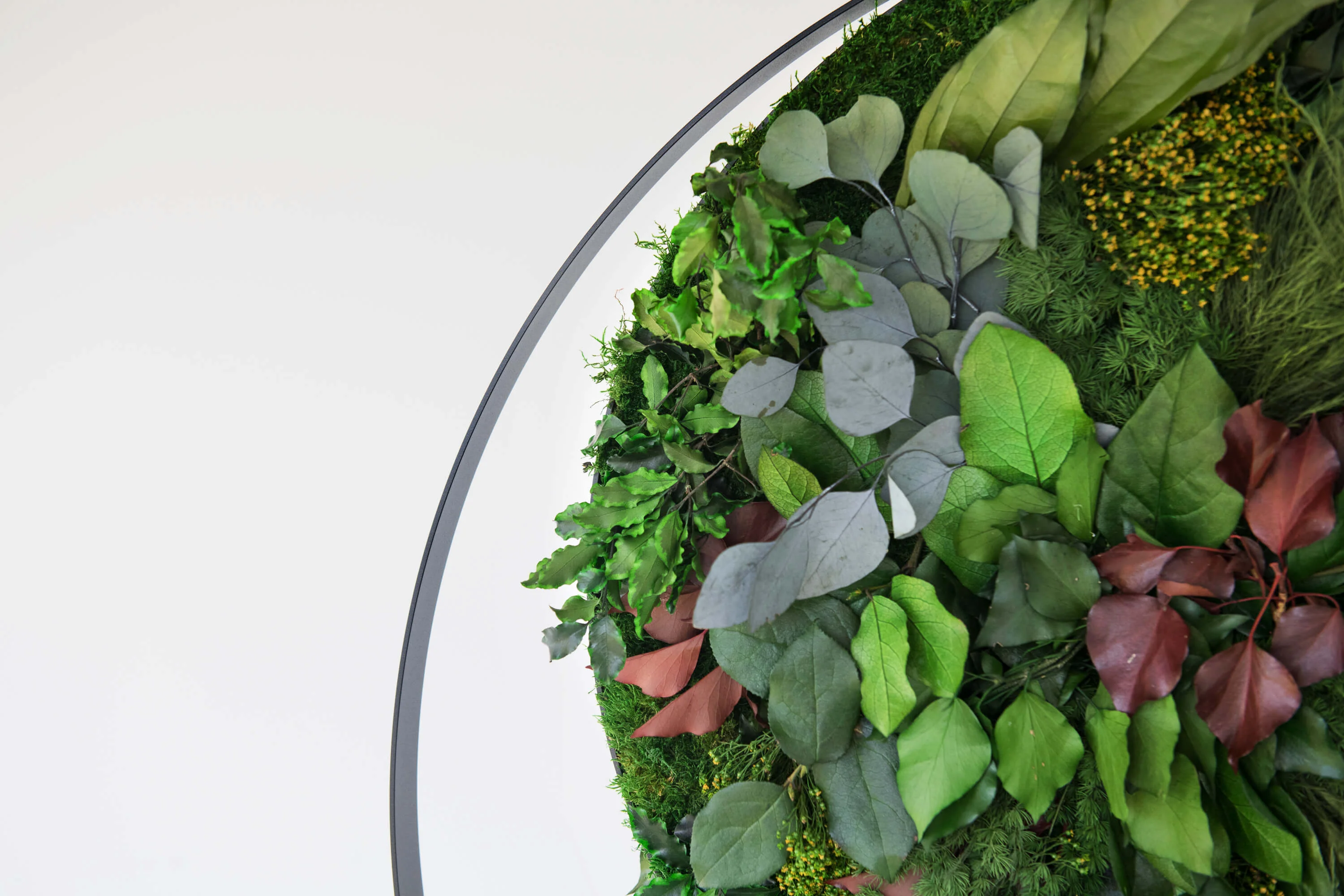 Hanging Plant and Moss Rings - Image 12