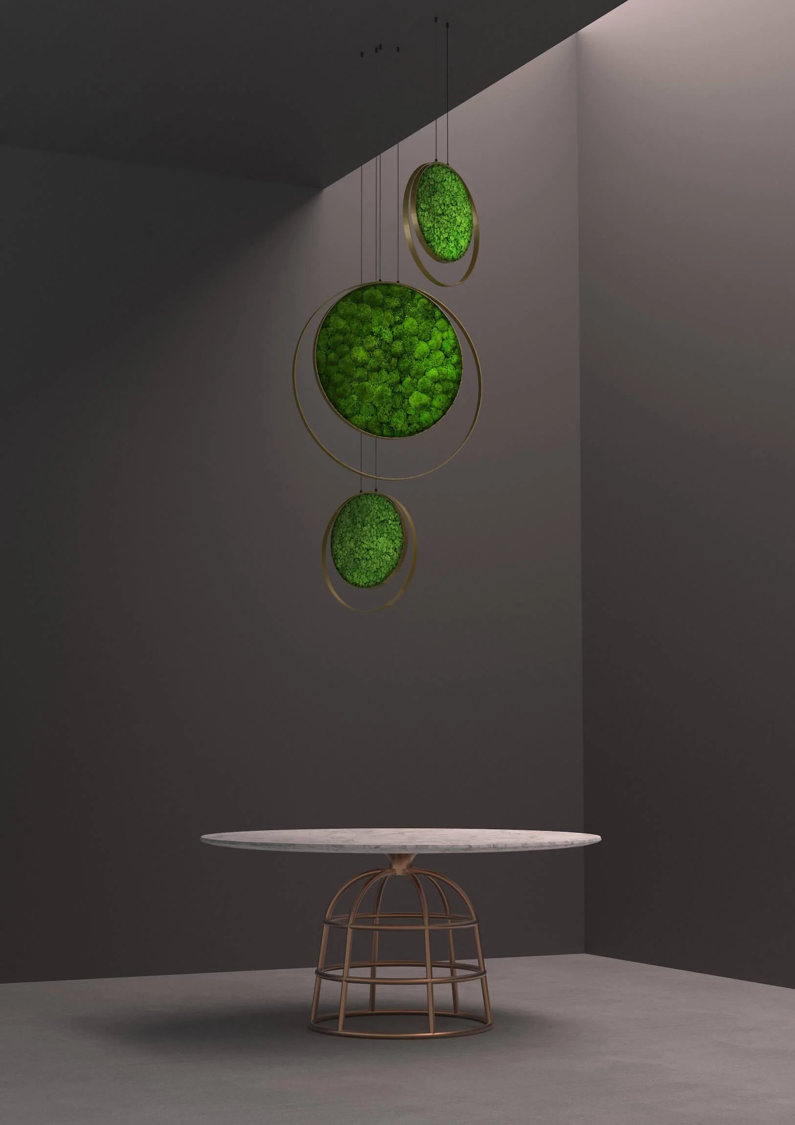 Hanging Plant and Moss Rings - Image 15