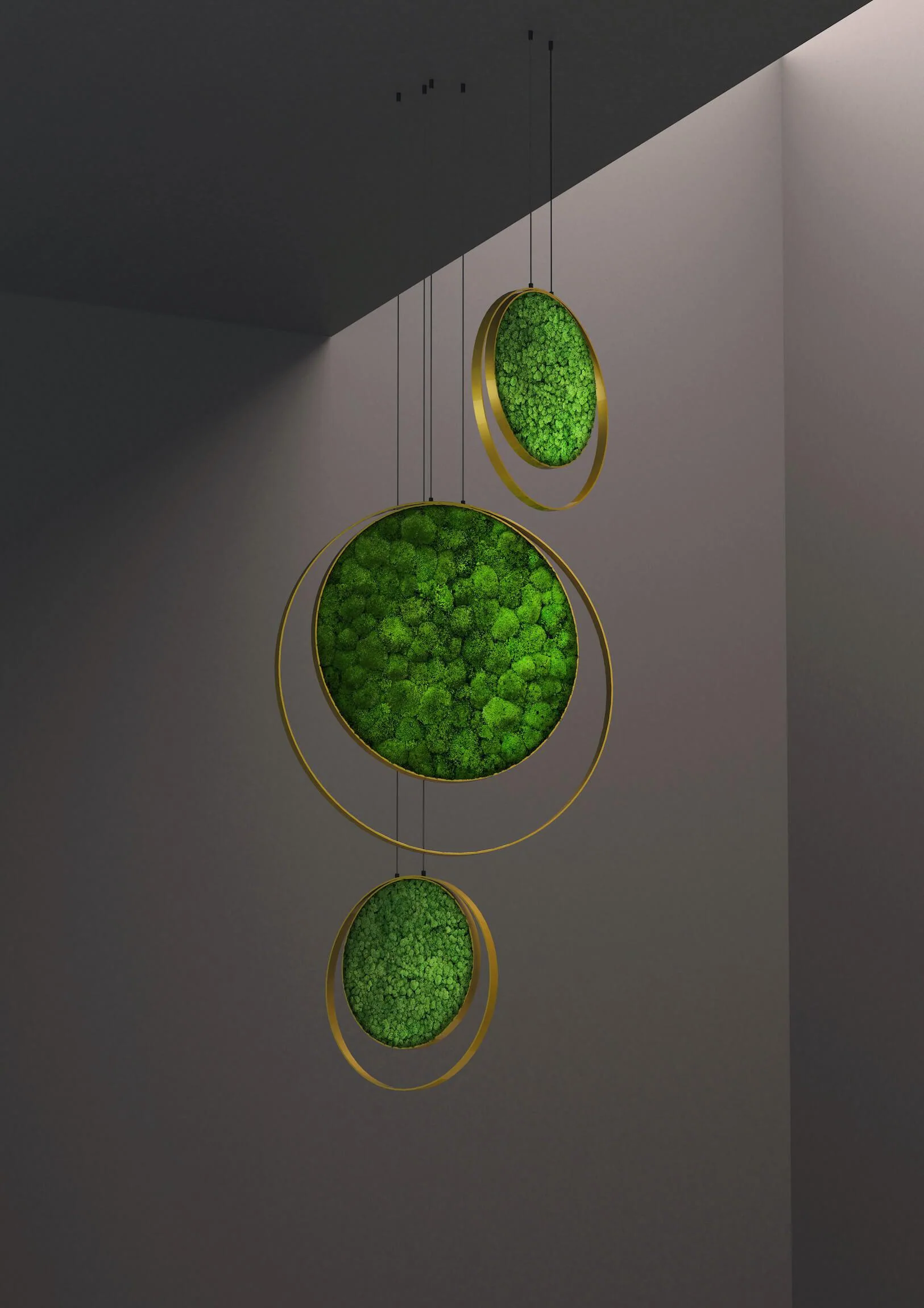 Hanging Plant and Moss Rings - Image 16