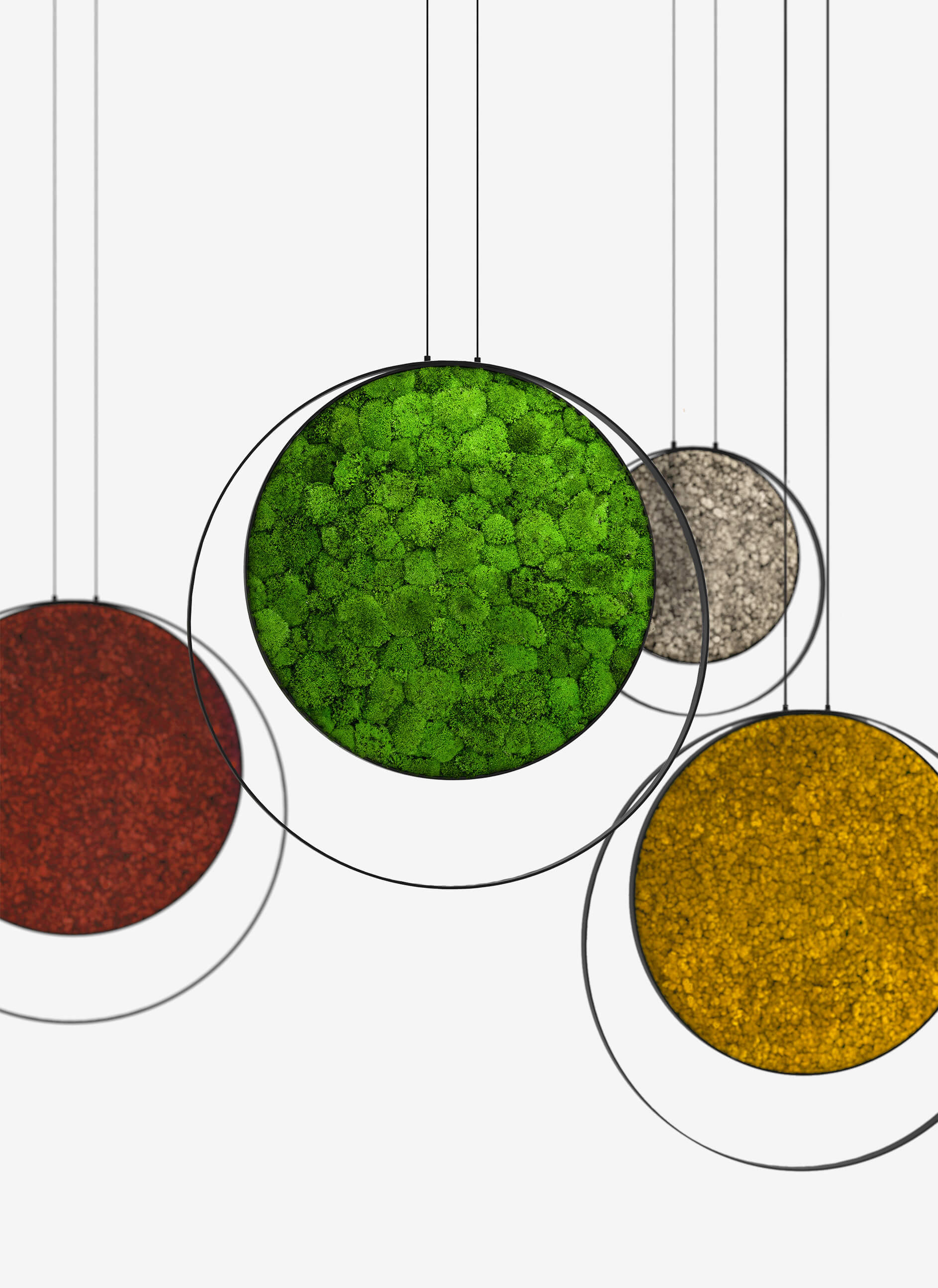 Hanging Plant and Moss Rings - Image 4