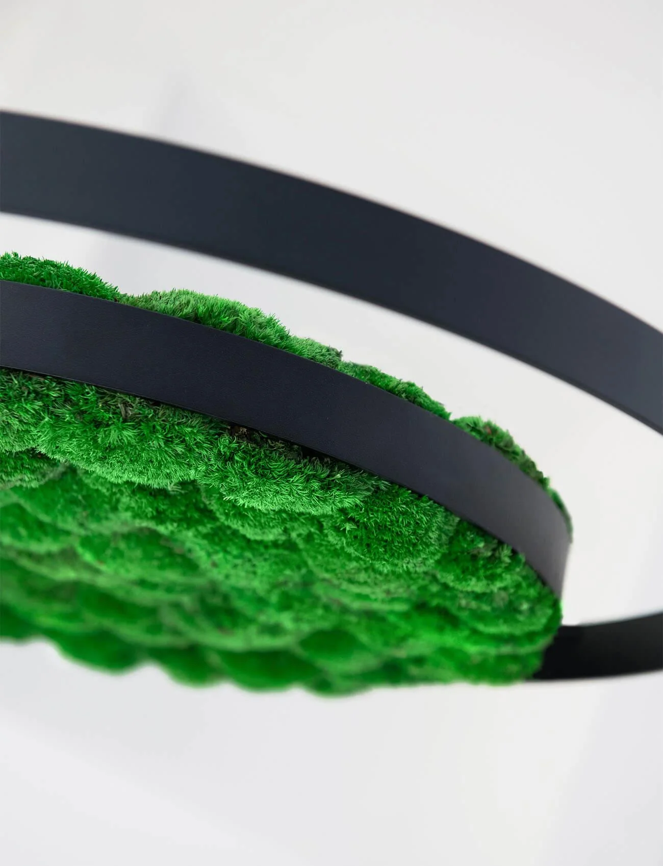 Hanging Plant and Moss Rings - Image 7