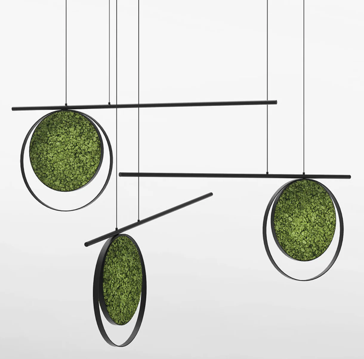 Hanging Plant and Moss Rings - Image 8