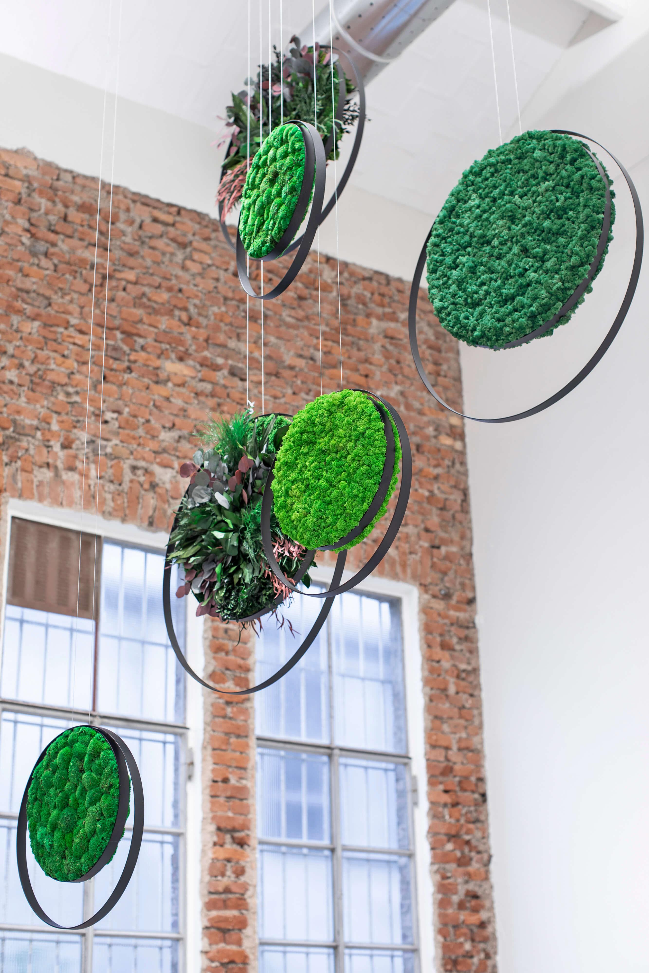 Hanging Plant and Moss Rings - Image 9