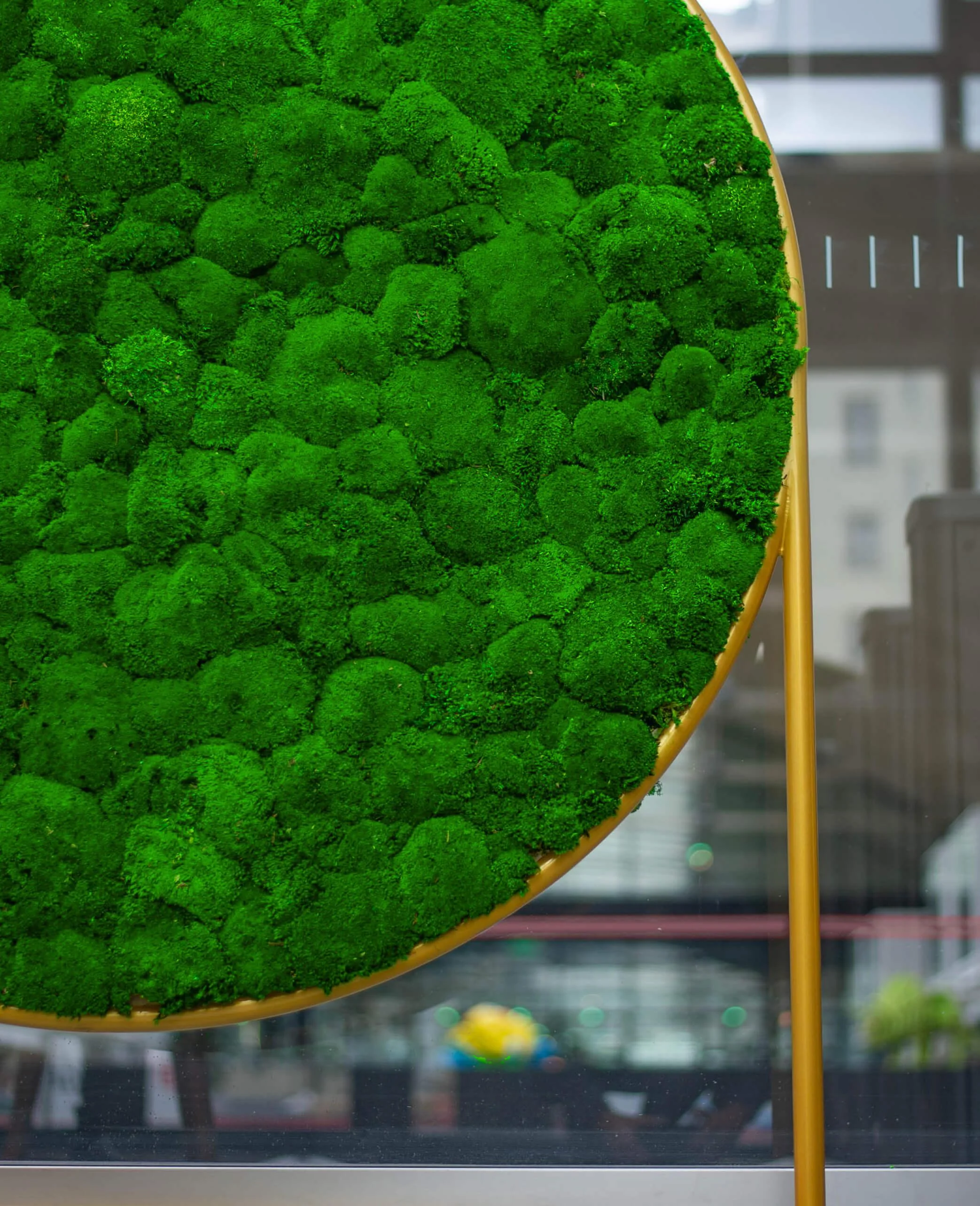 Standing Circles Moss Wall Art - Image 14