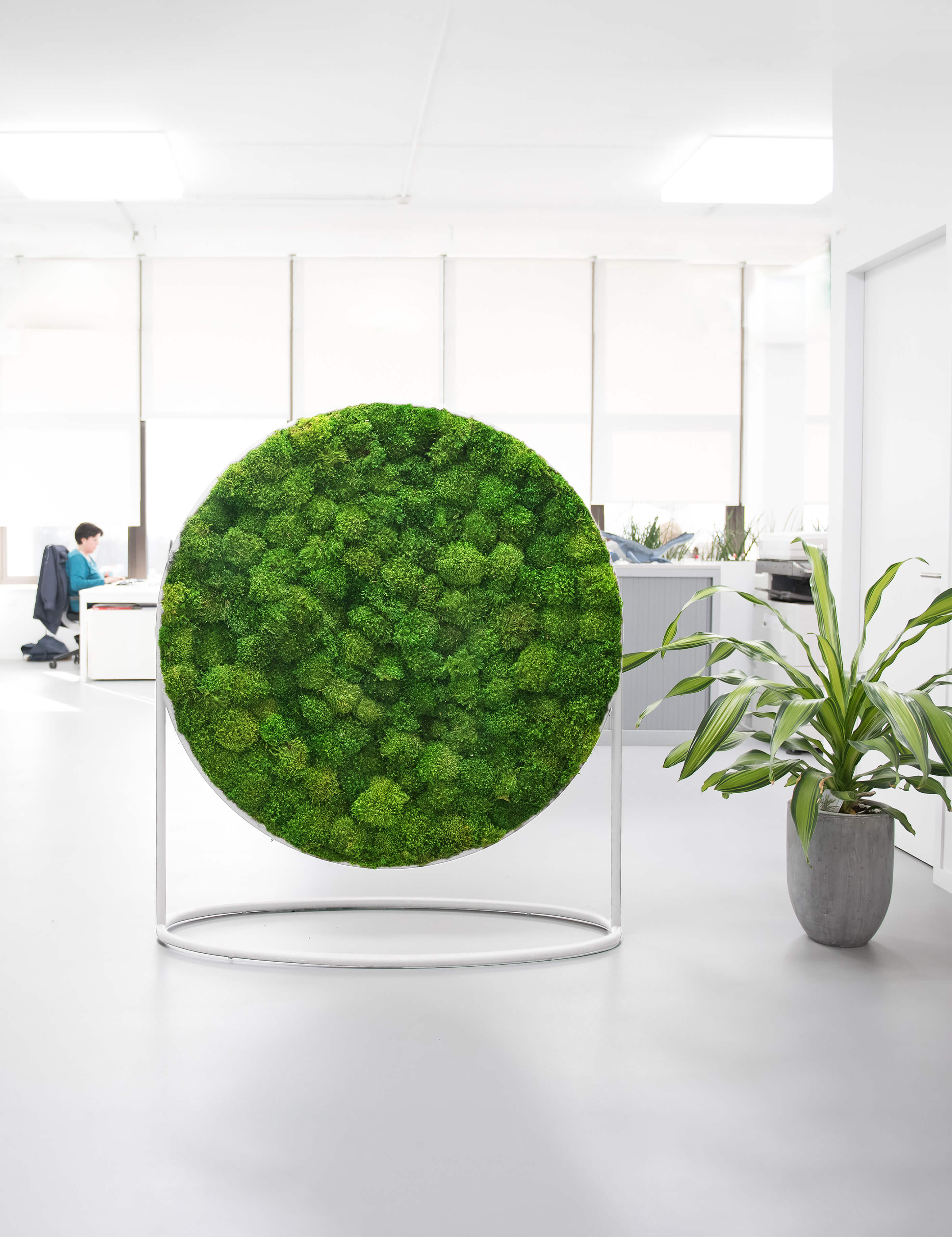 Standing Circles Moss Wall Art - Image 3