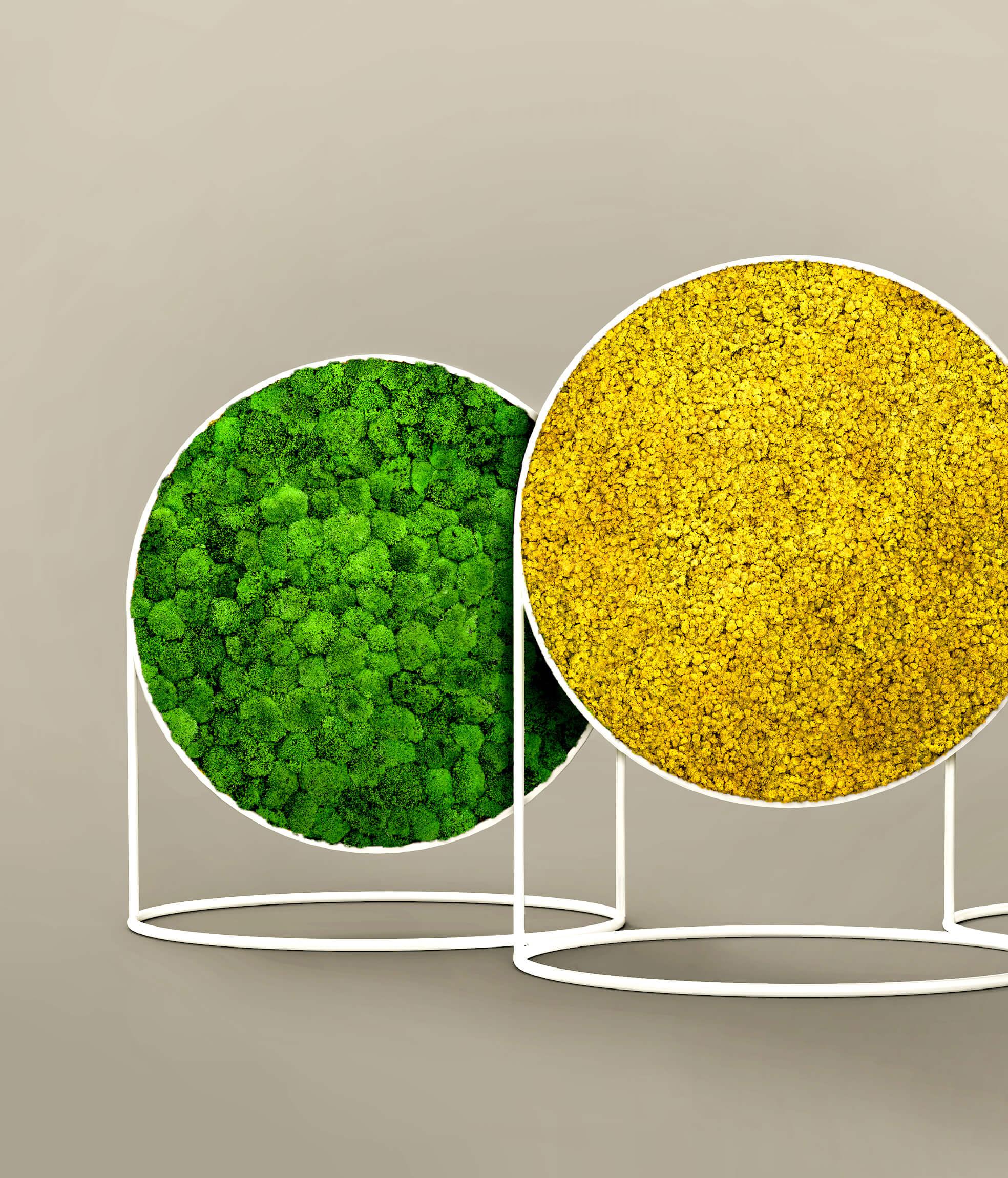 Standing Circles Moss Wall Art - Image 4