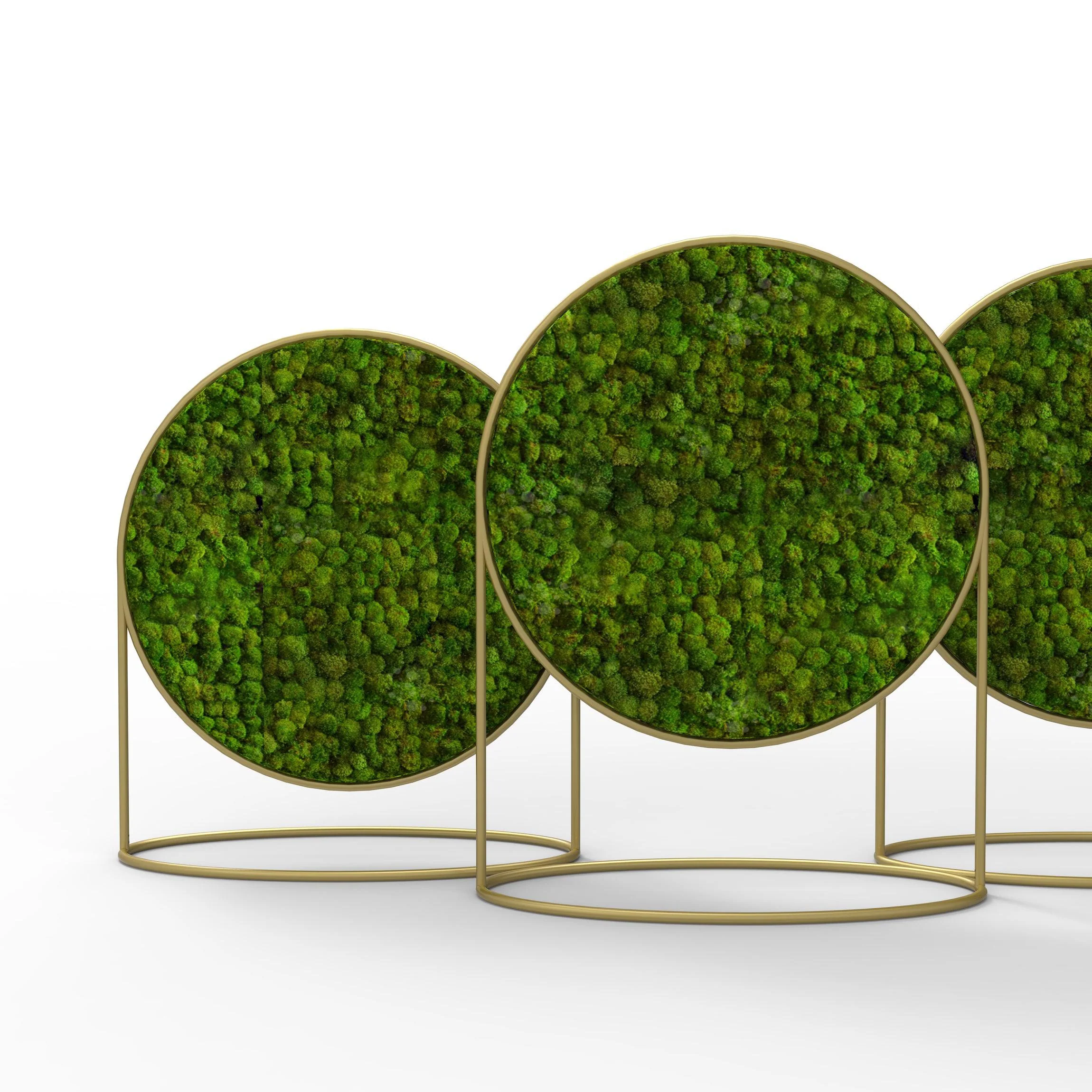 Standing Circles Moss Wall Art - Image 5