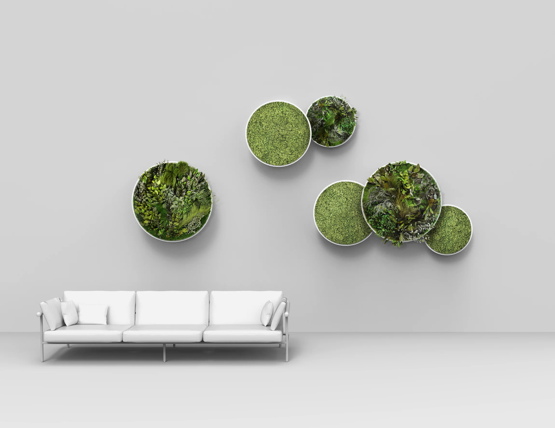 Circles Plant and Moss Wall Art - Image 5