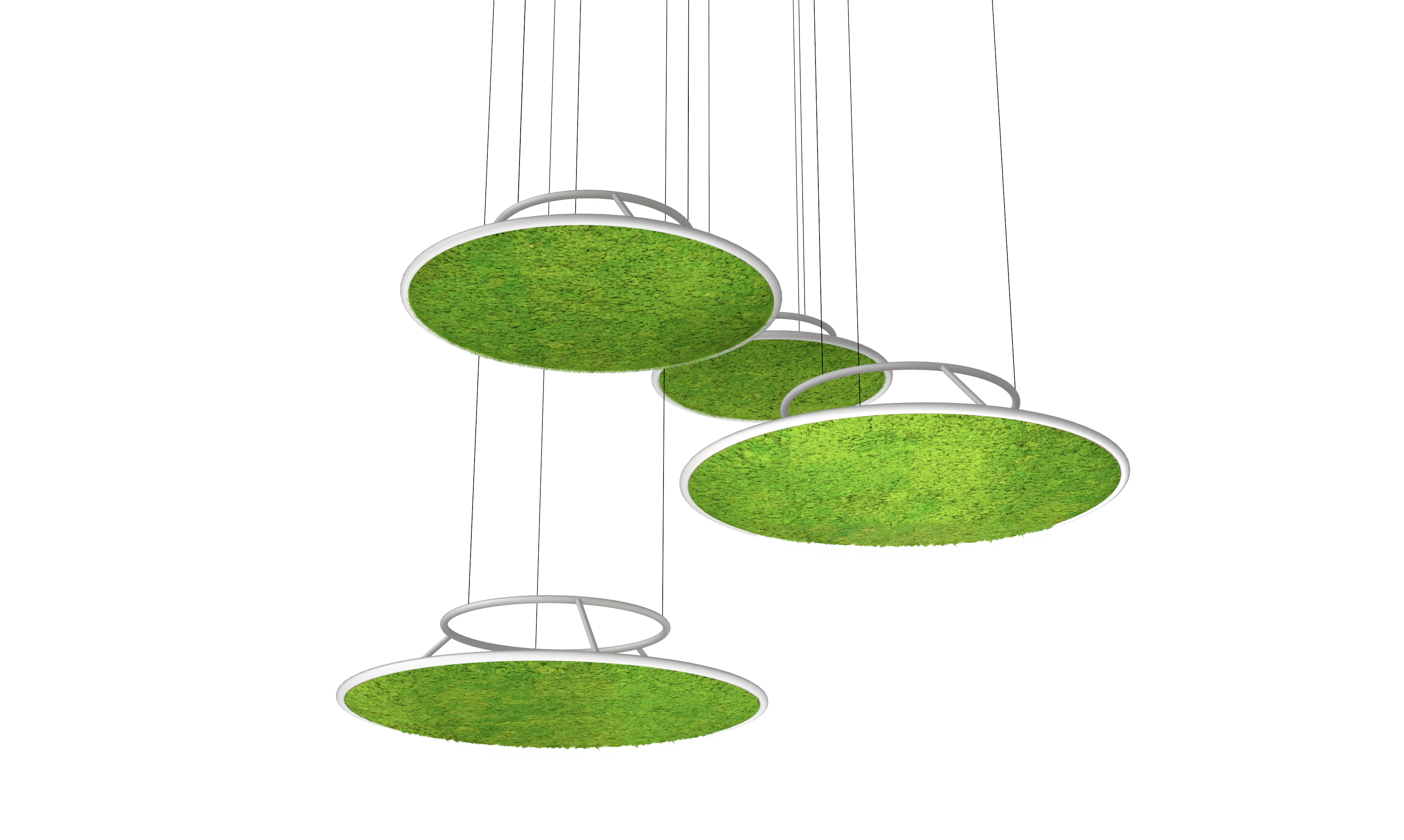 Circles Plant and Moss Wall Art - Image 9