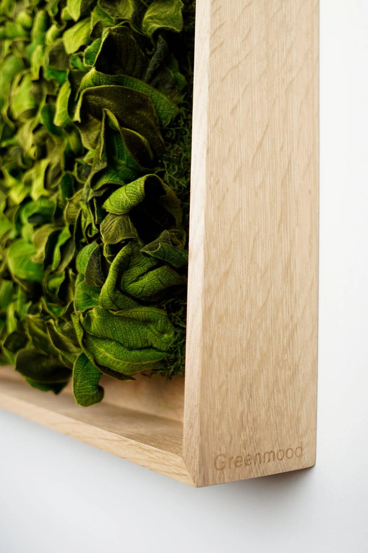 Textured Plant Framed Moss Wall Art - Image 13