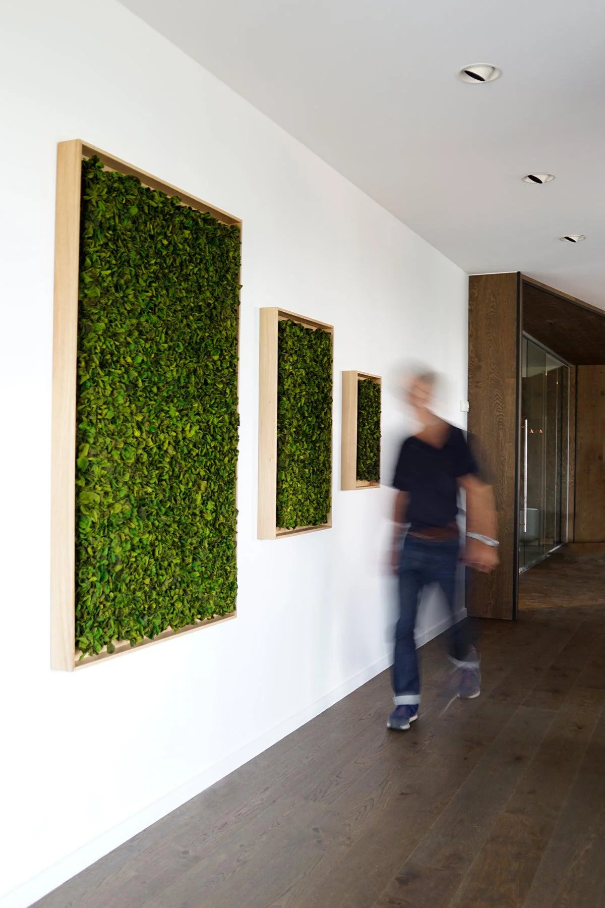 Textured Plant Framed Moss Wall Art - Image 15