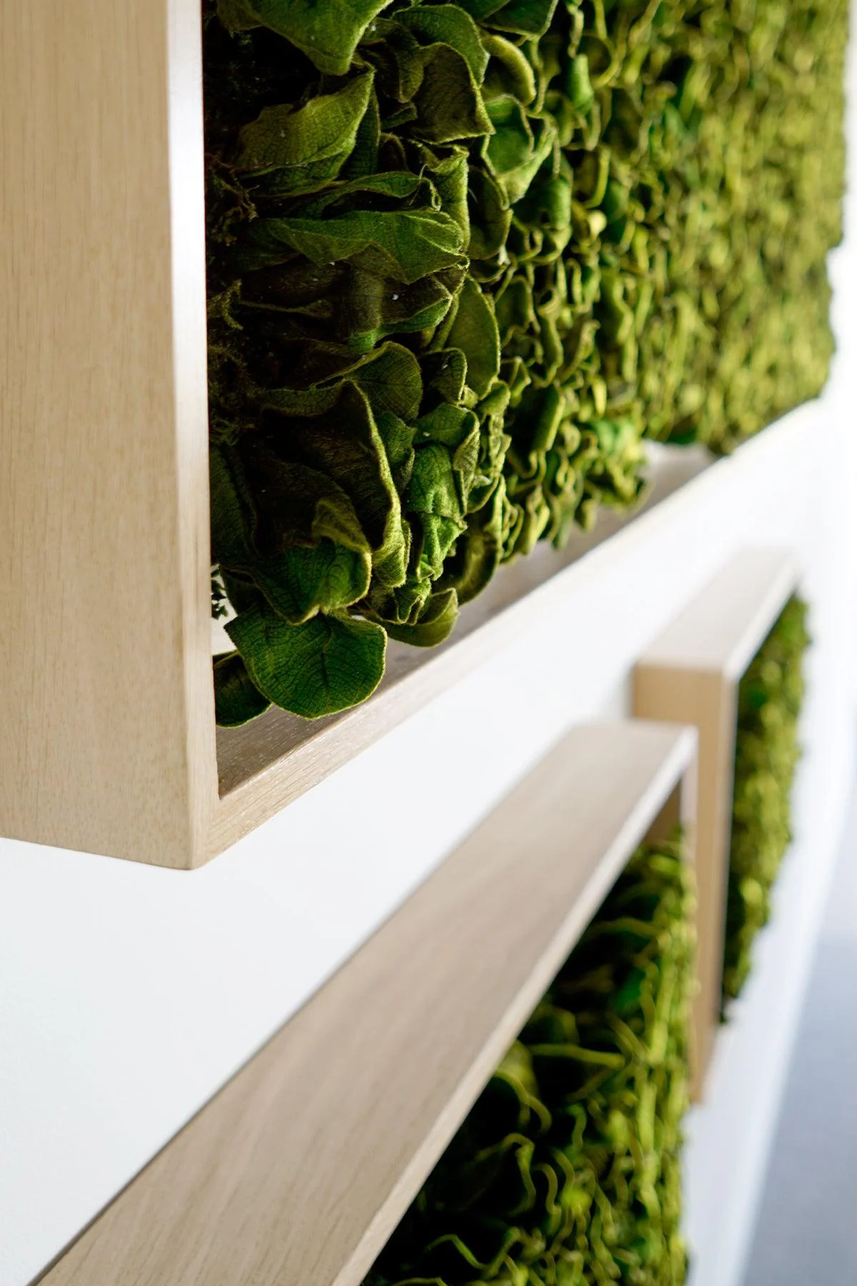 Textured Plant Framed Moss Wall Art - Image 16