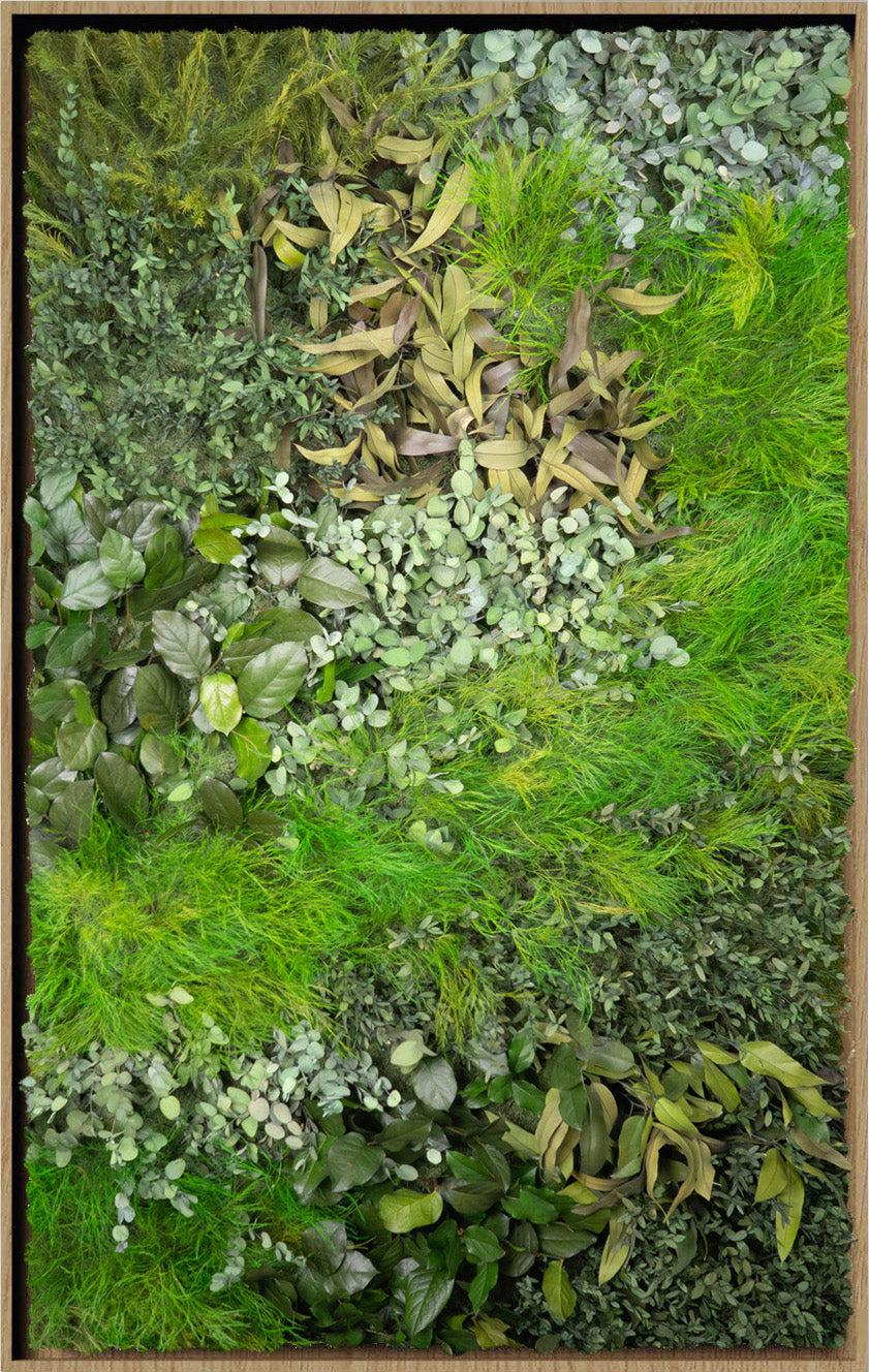 Textured Plant Framed Moss Wall Art - Image 5