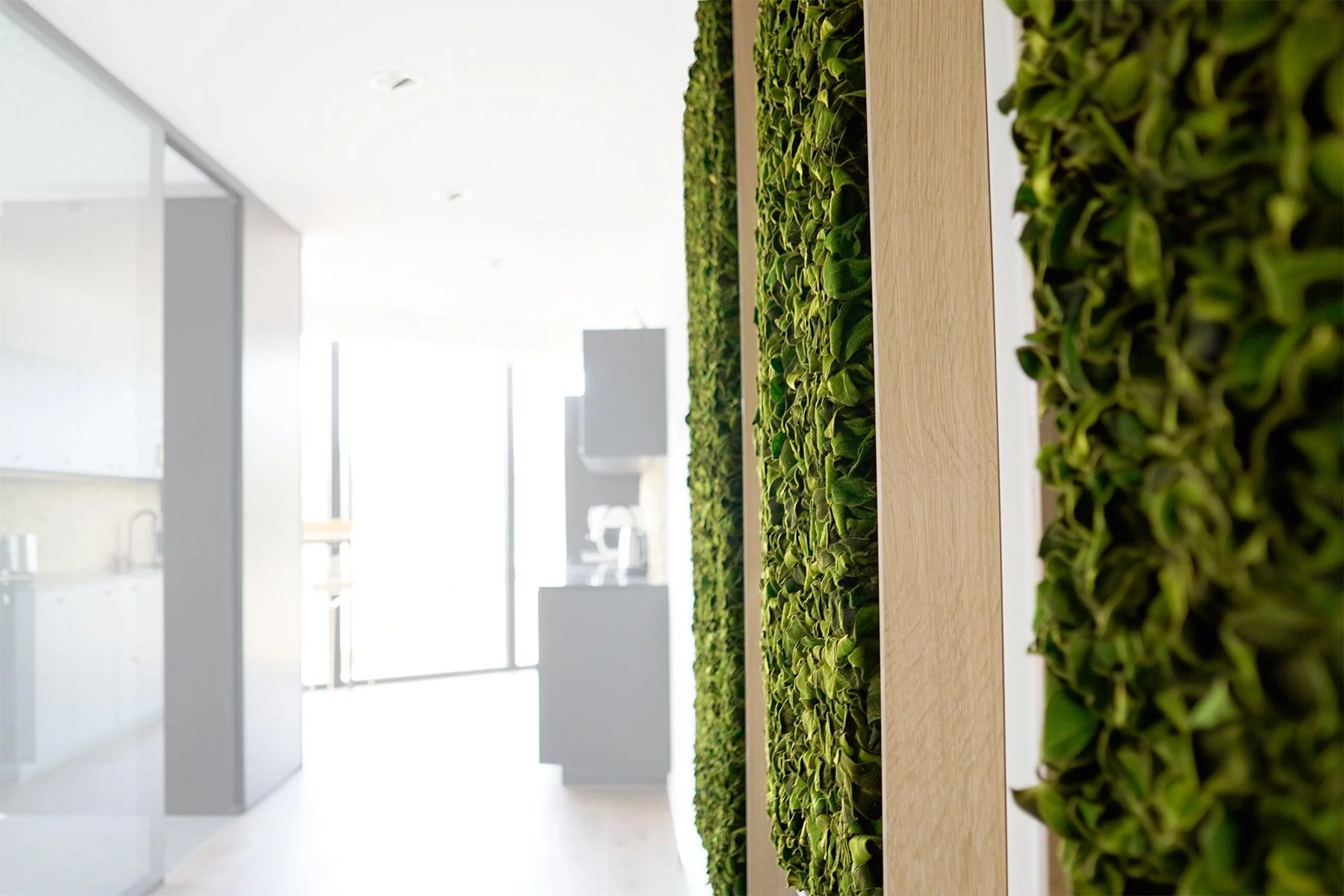 Textured Plant Framed Moss Wall Art - Image 6