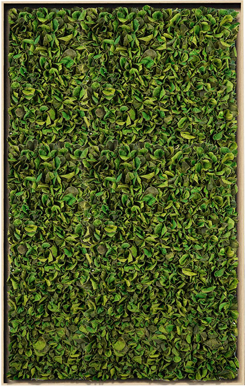 Textured Plant Framed Moss Wall Art - Image 7