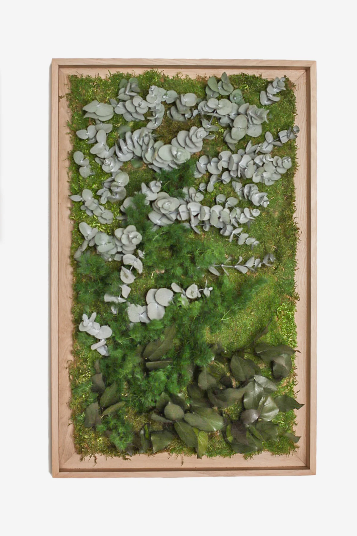 Textured Plant Framed Moss Wall Art - Image 8