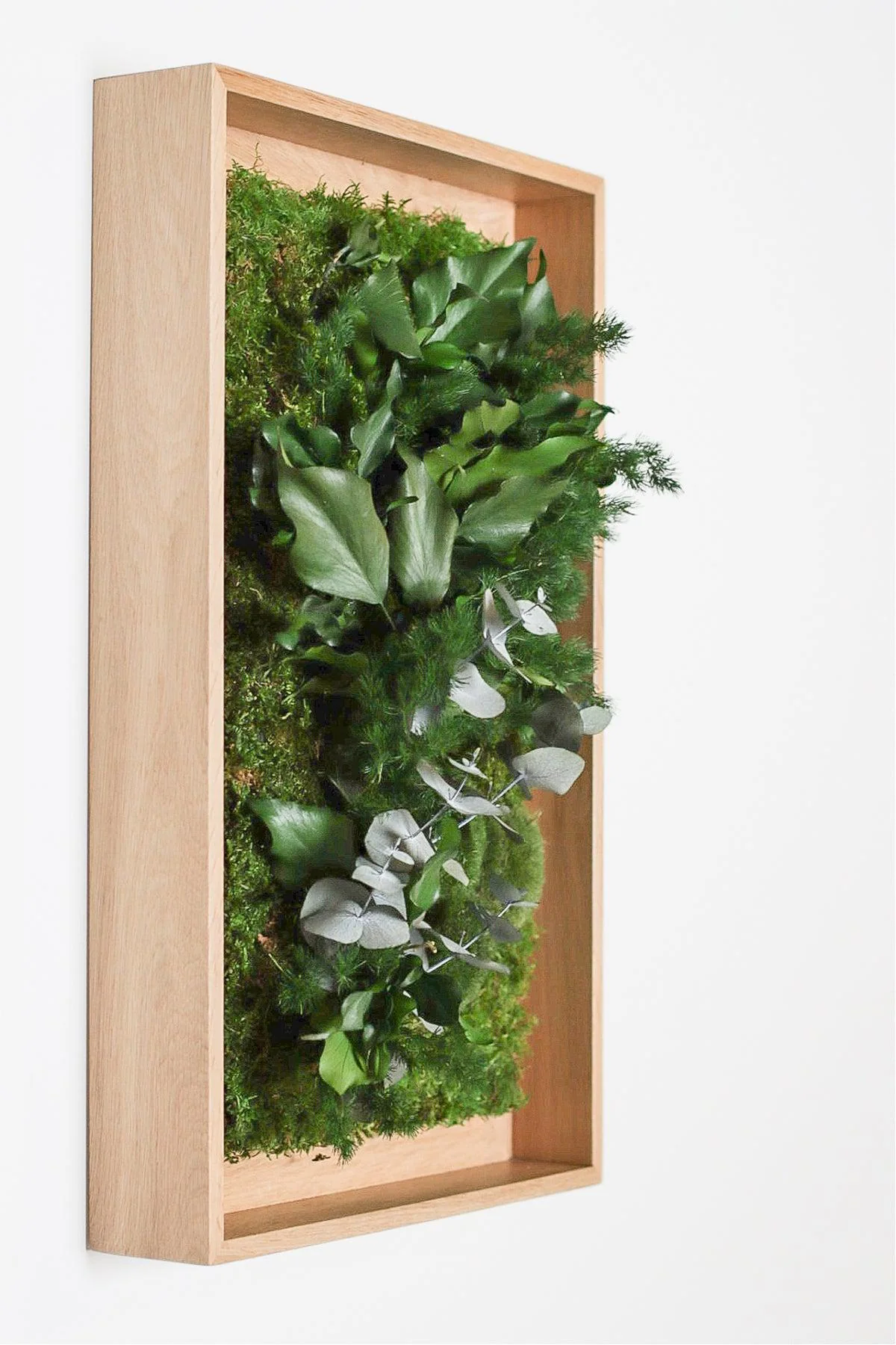 Textured Plant Framed Moss Wall Art - Image 9