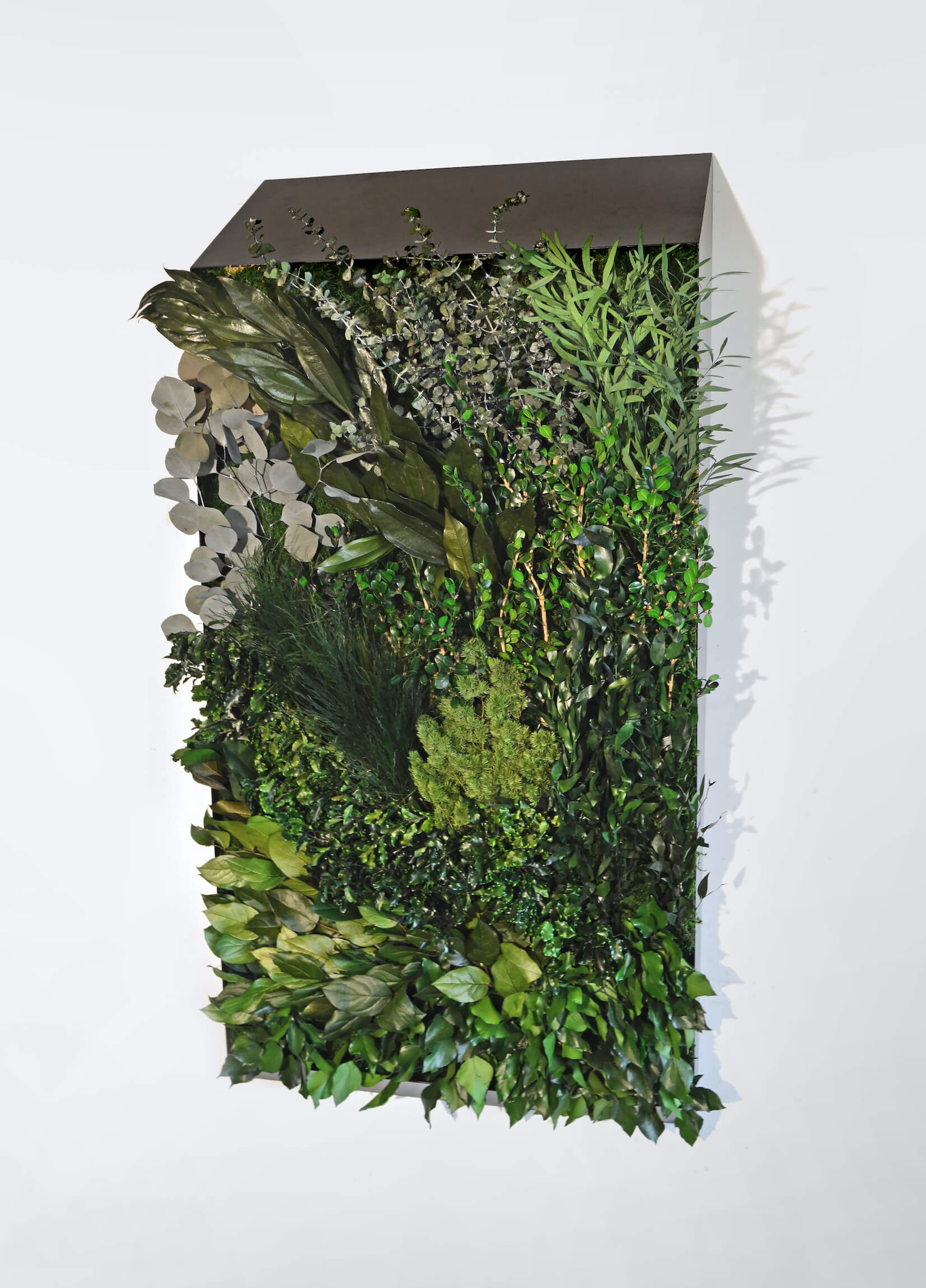 3D Lines Plant & Moss Wall Art - Image 10