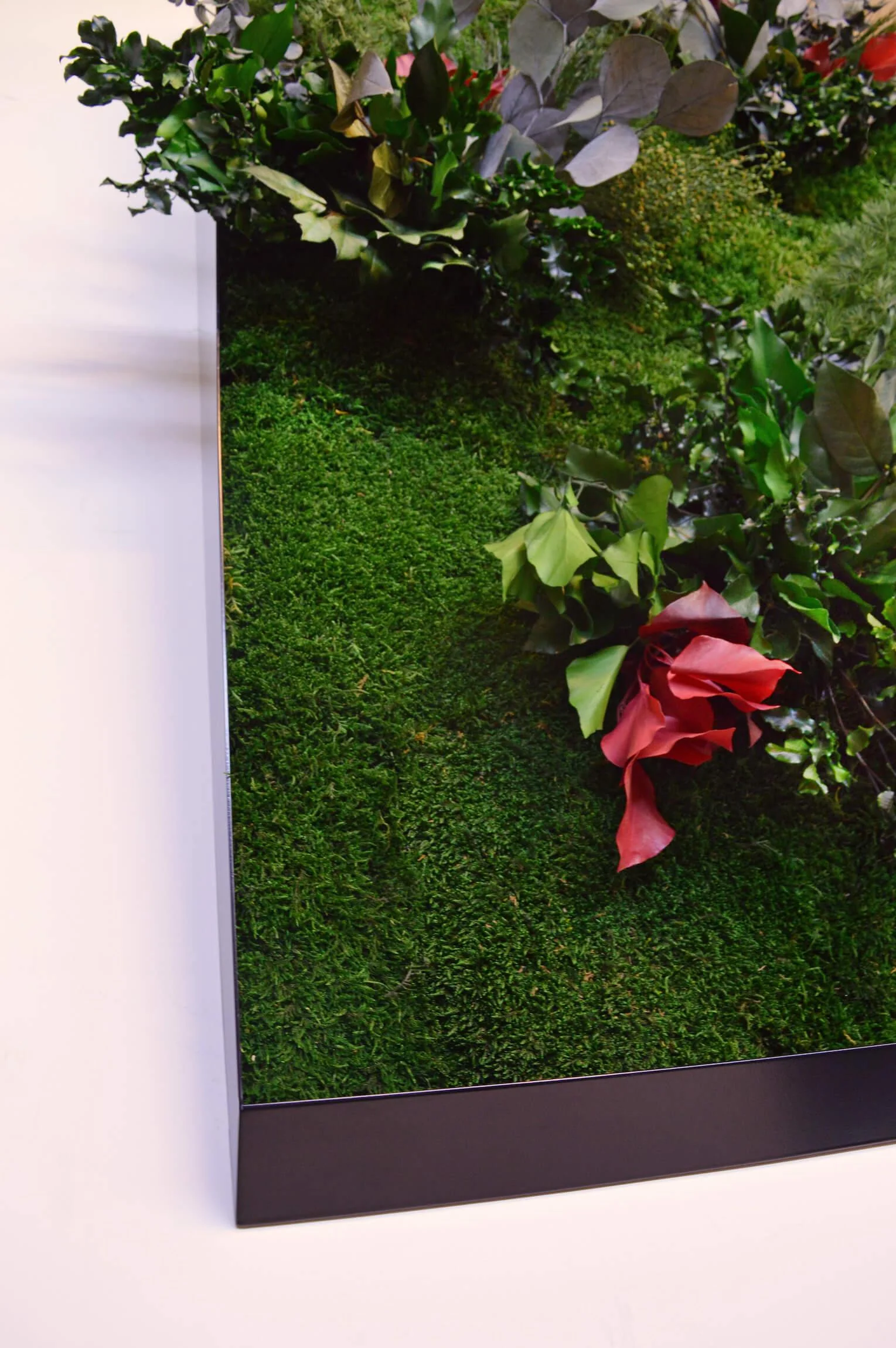3D Lines Plant & Moss Wall Art - Image 11