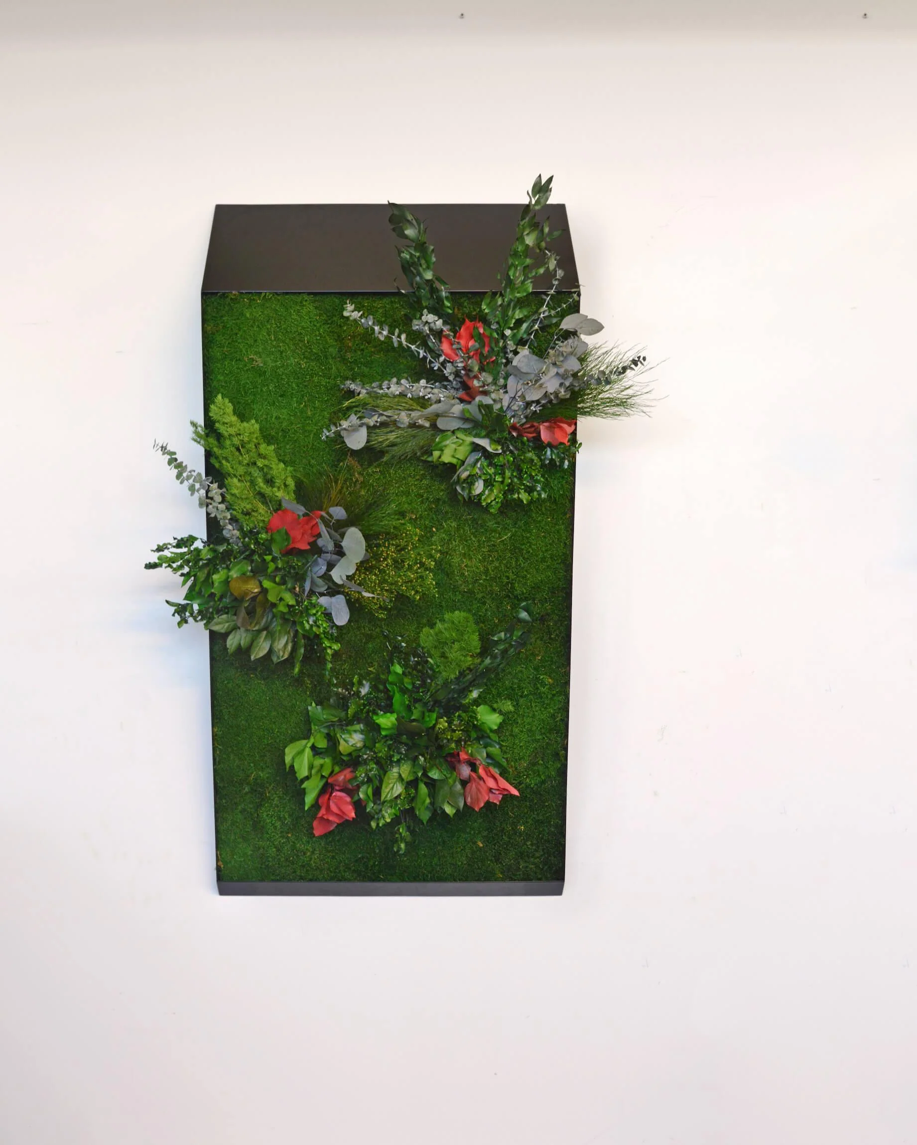 3D Lines Plant & Moss Wall Art - Image 12