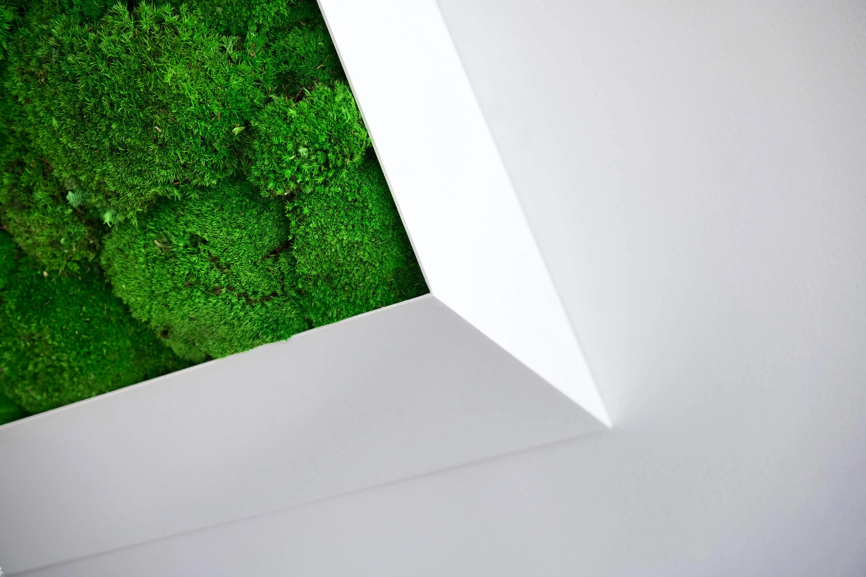 3D Lines Plant & Moss Wall Art - Image 16