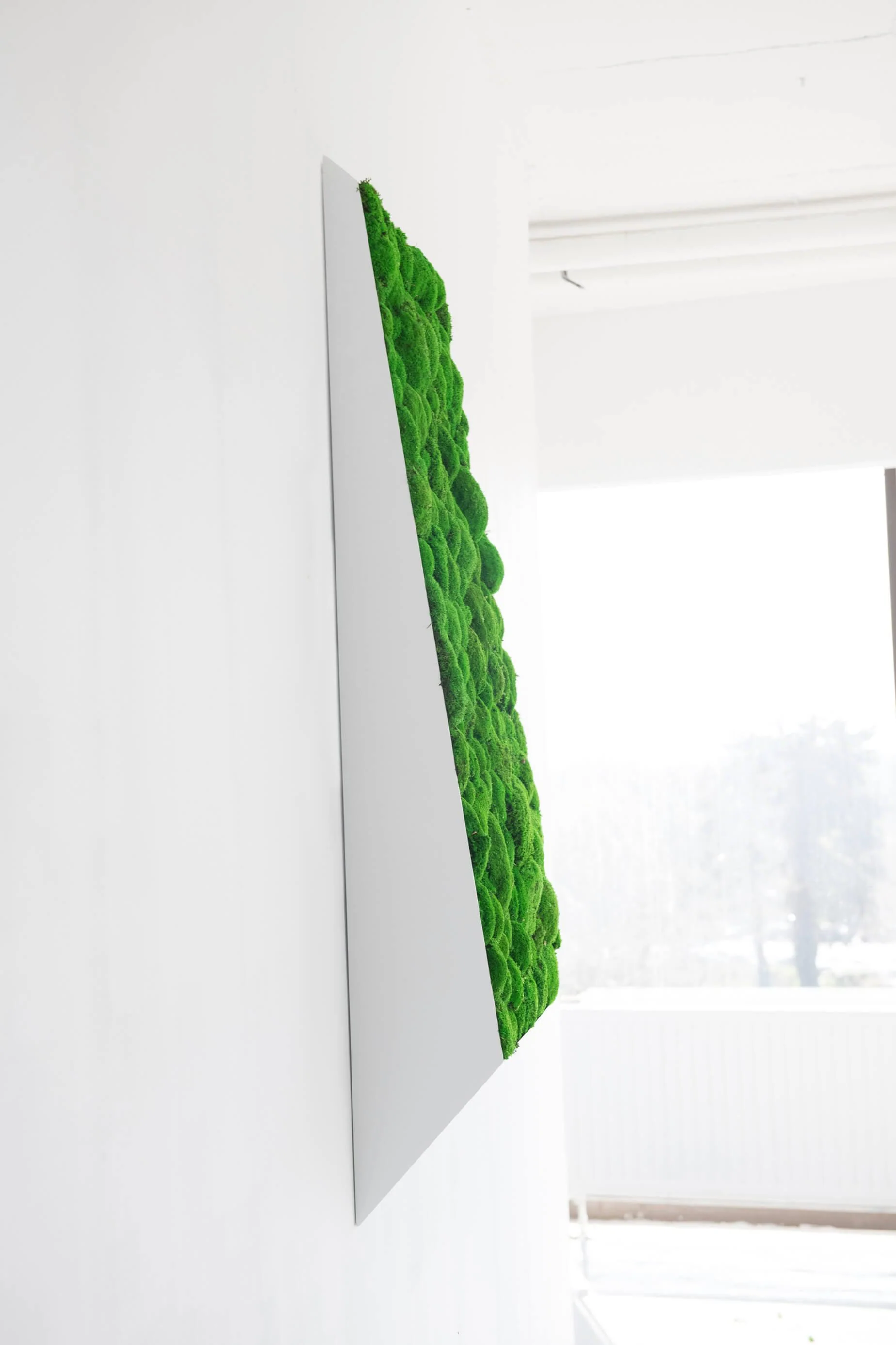 3D Lines Plant & Moss Wall Art - Image 17
