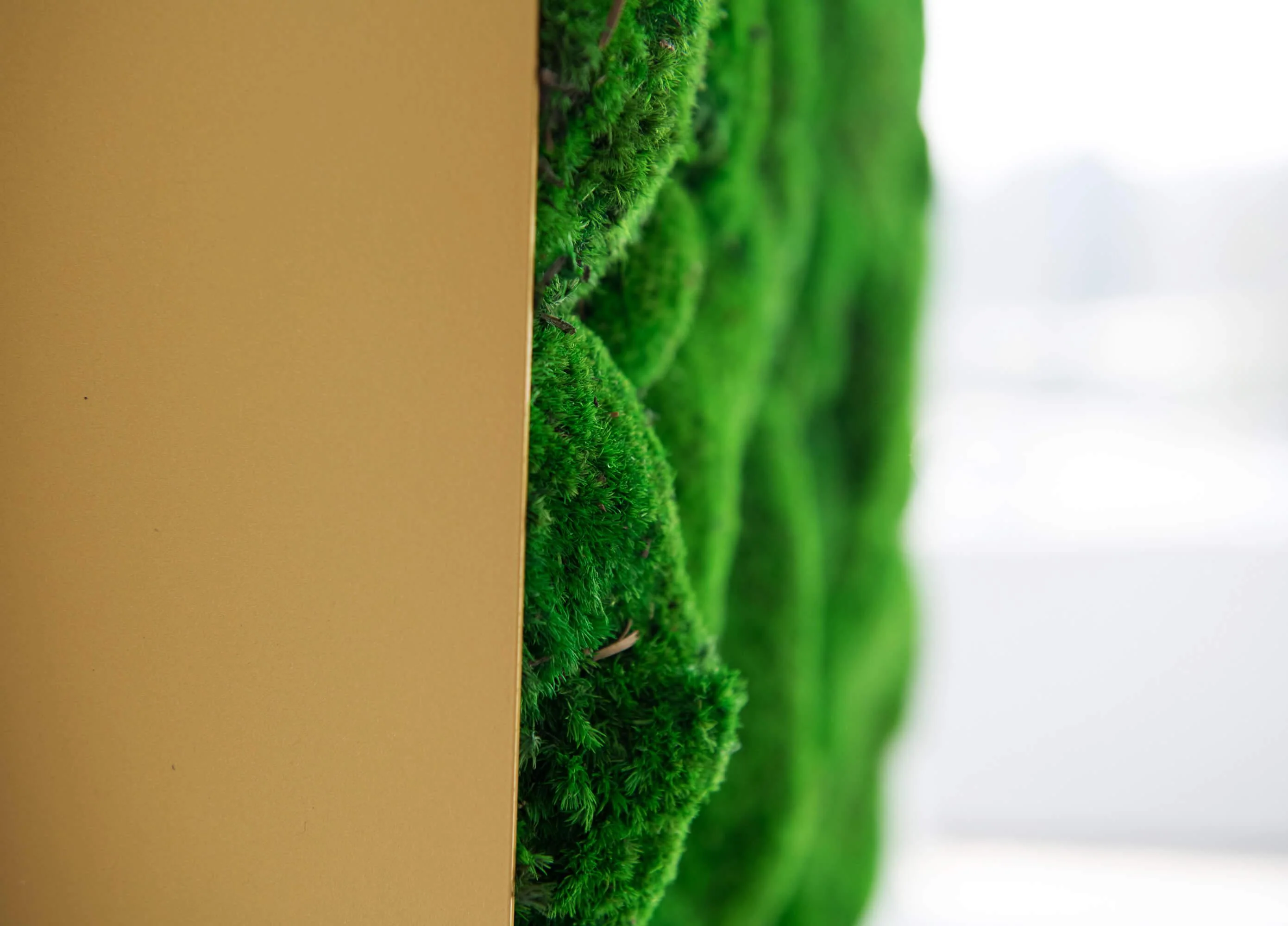 3D Lines Plant & Moss Wall Art - Image 5