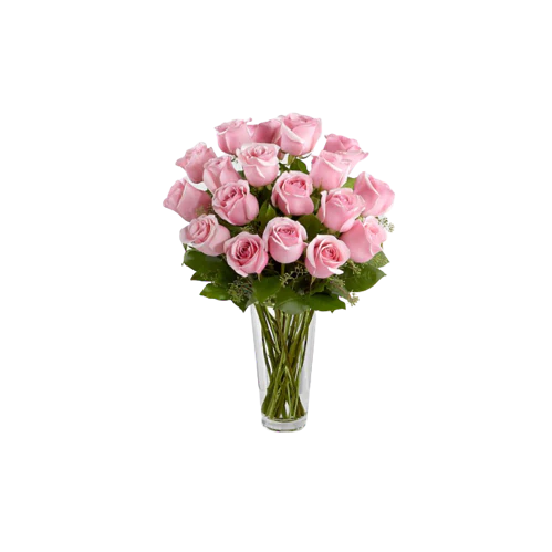 Kenyan Pink Preserved Roses - Image 4