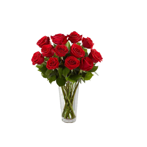 Kenyan Red Preserved Roses - Image 3